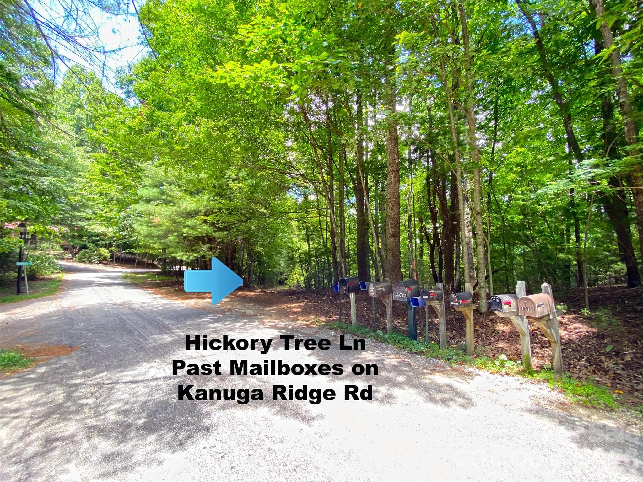 Hickory Tree Ln just past the mailboxes on Kanuga Ridge Rd. - Hendersonville