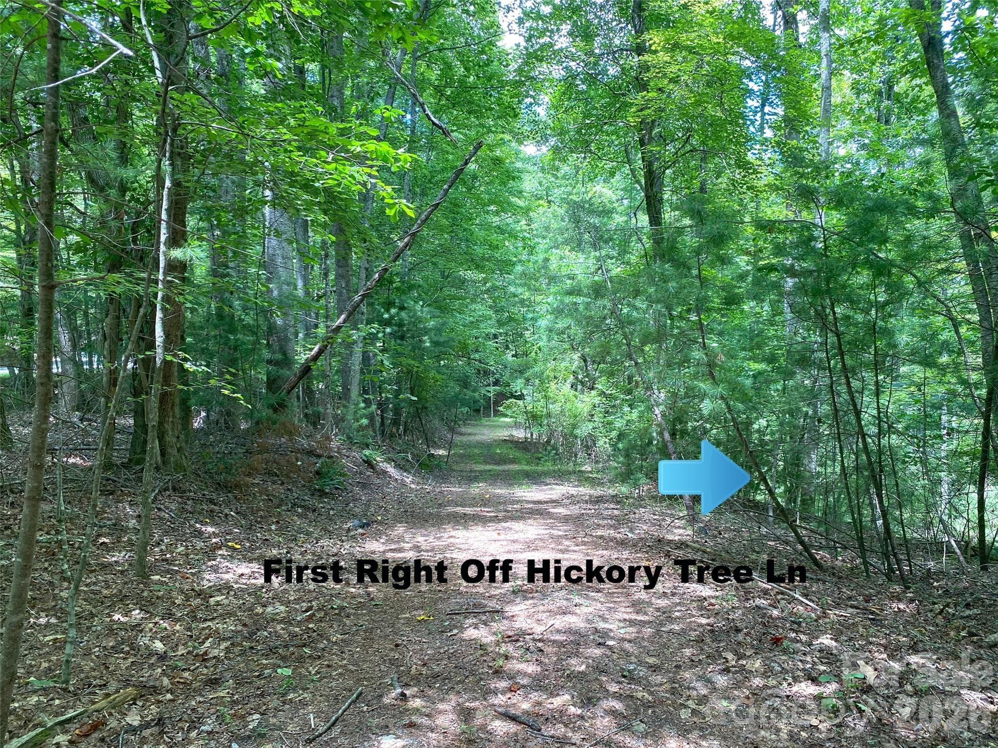 Path a few feet from the beginning of Hickory Tree Ln. - Hendersonville