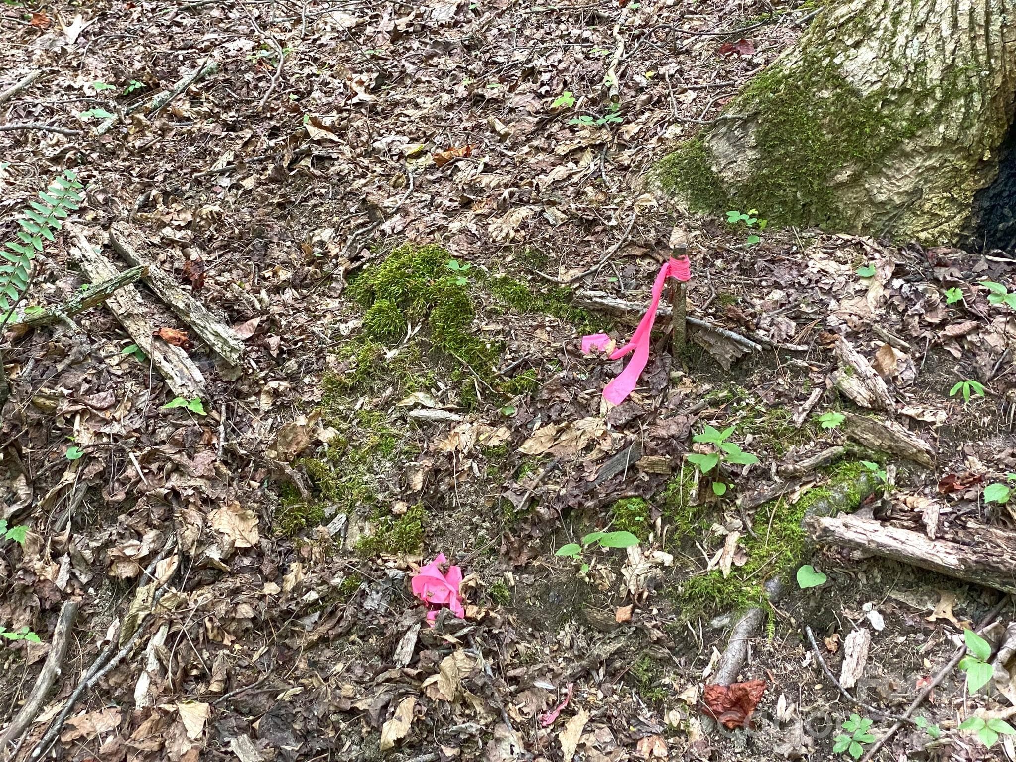 Lot at Hendersonville, photo 8 of 20