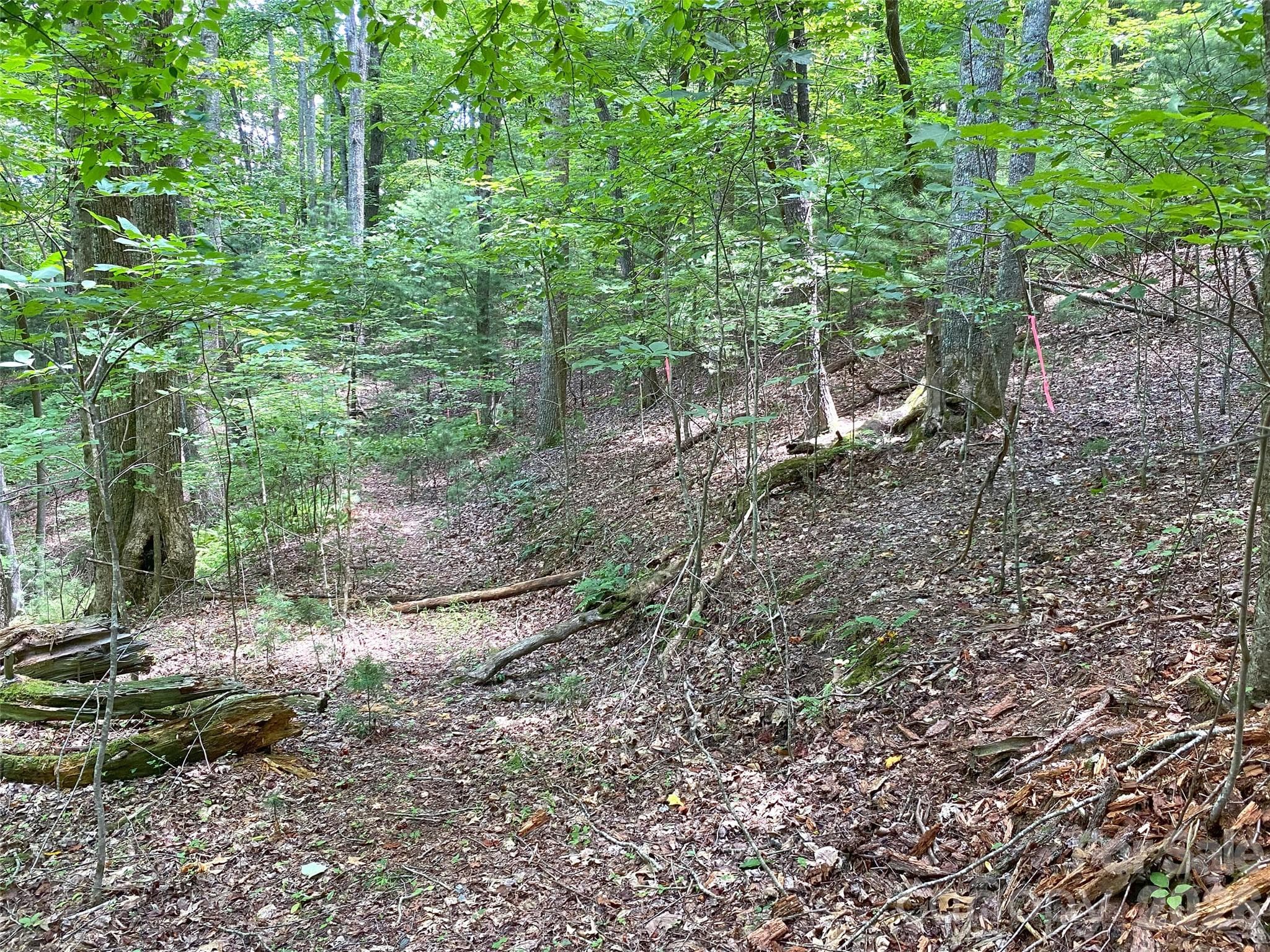 Natural path/logging road connects both lots. - Hendersonville