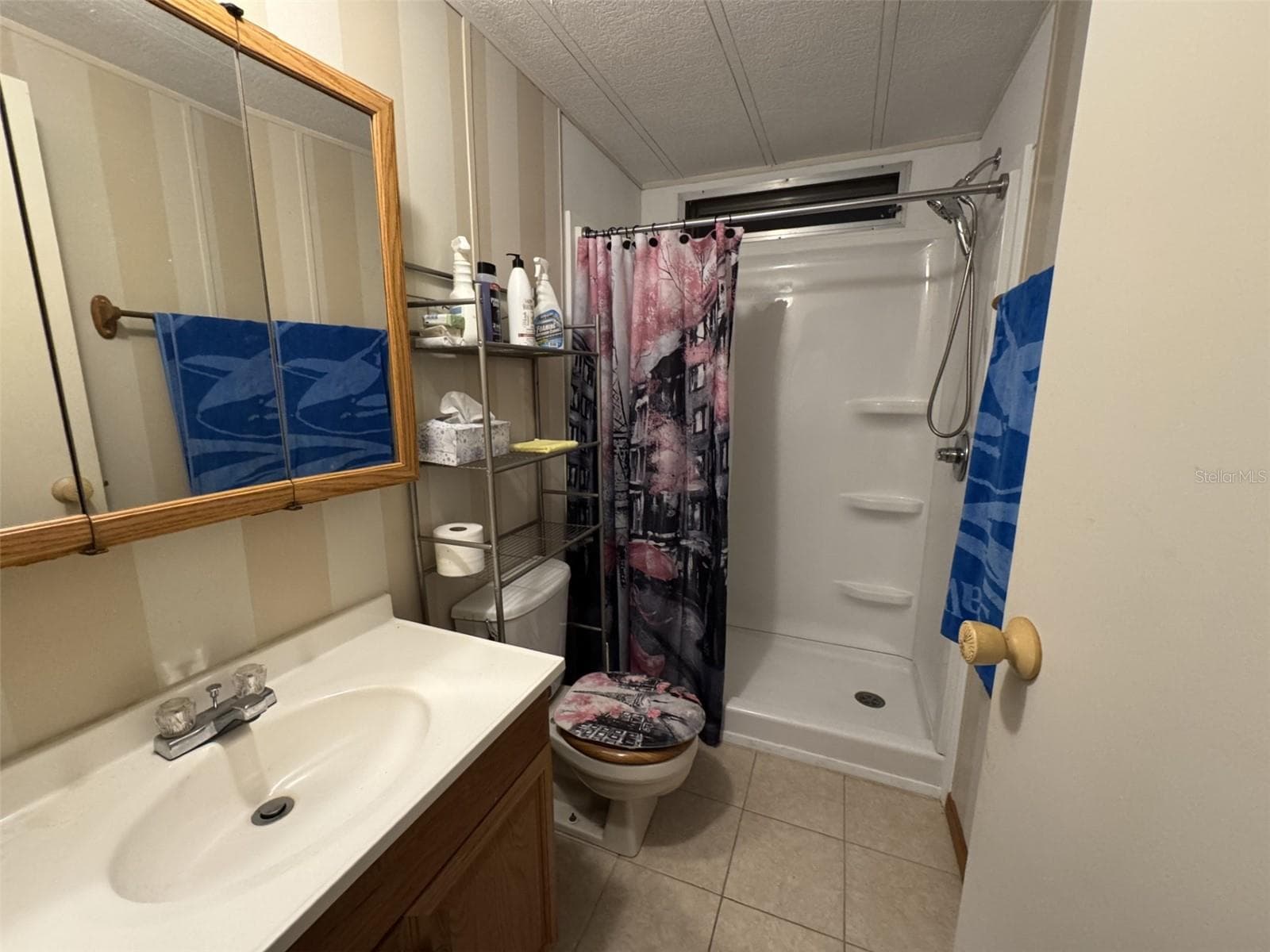 Manufactured Home at 8508 BREEZE HILL DR, LAKE WALES, photo 11 of 47