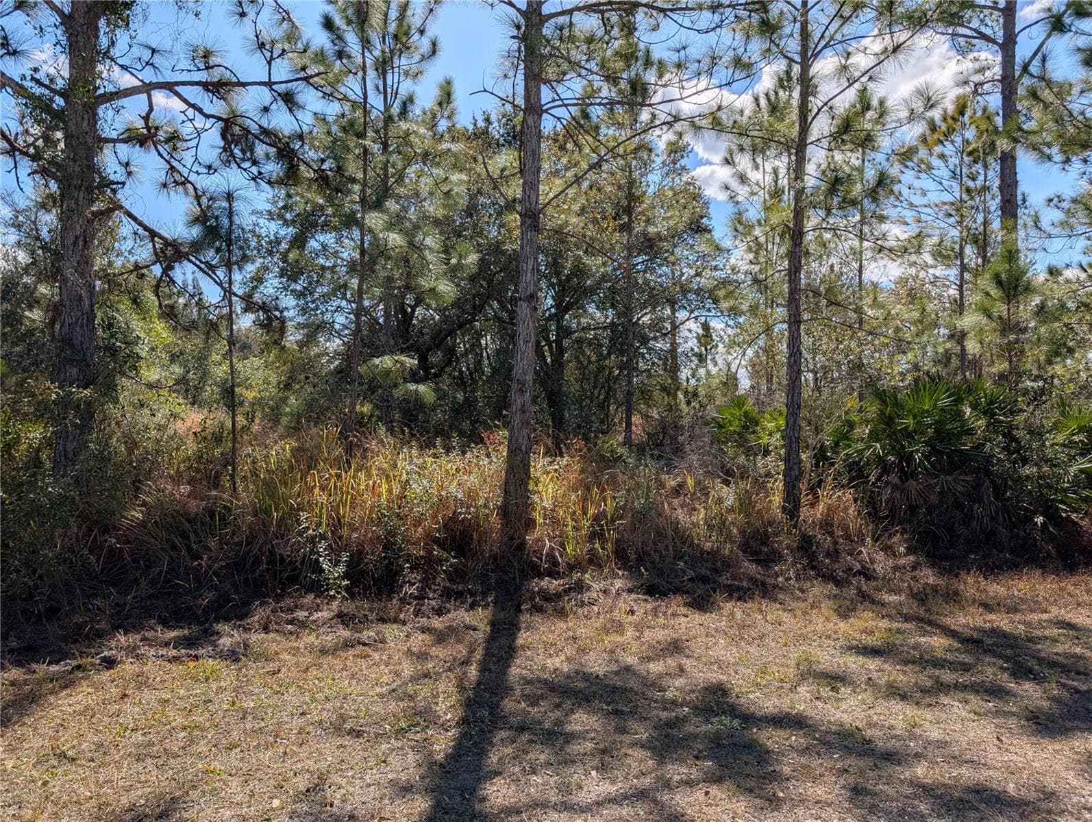711 AZALEA DR