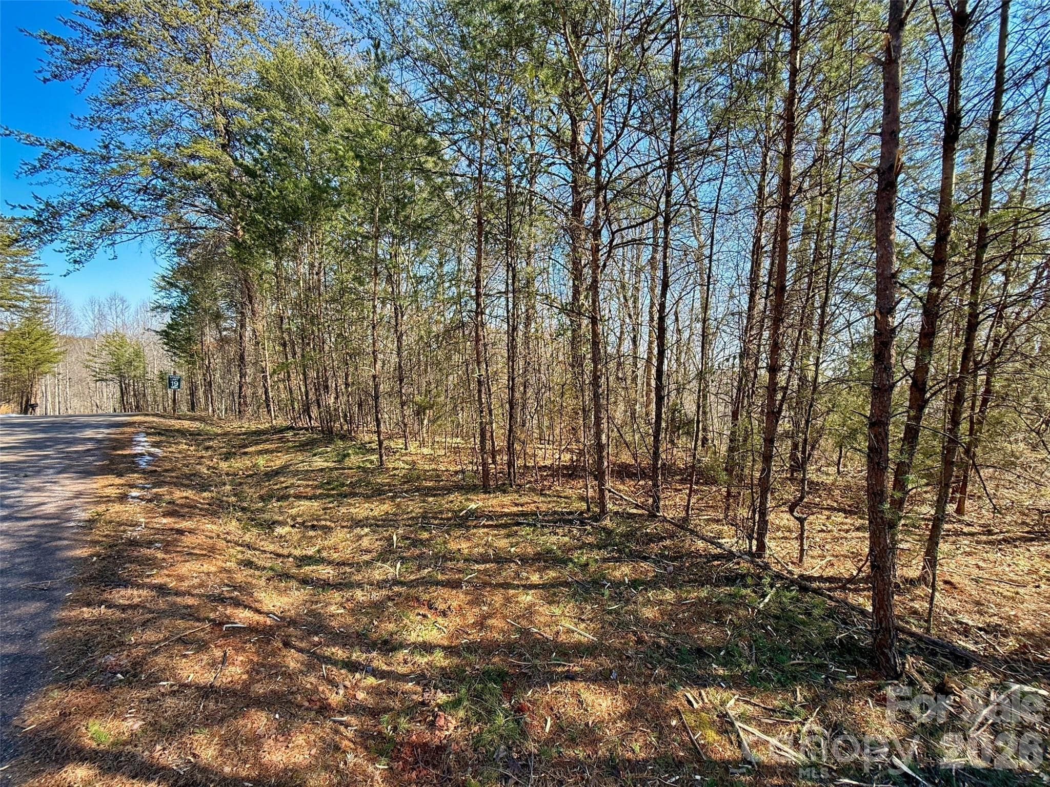 Lot at Lots 79 80 100 Westridge Drive, Lake Lure, photo 2 of 8
