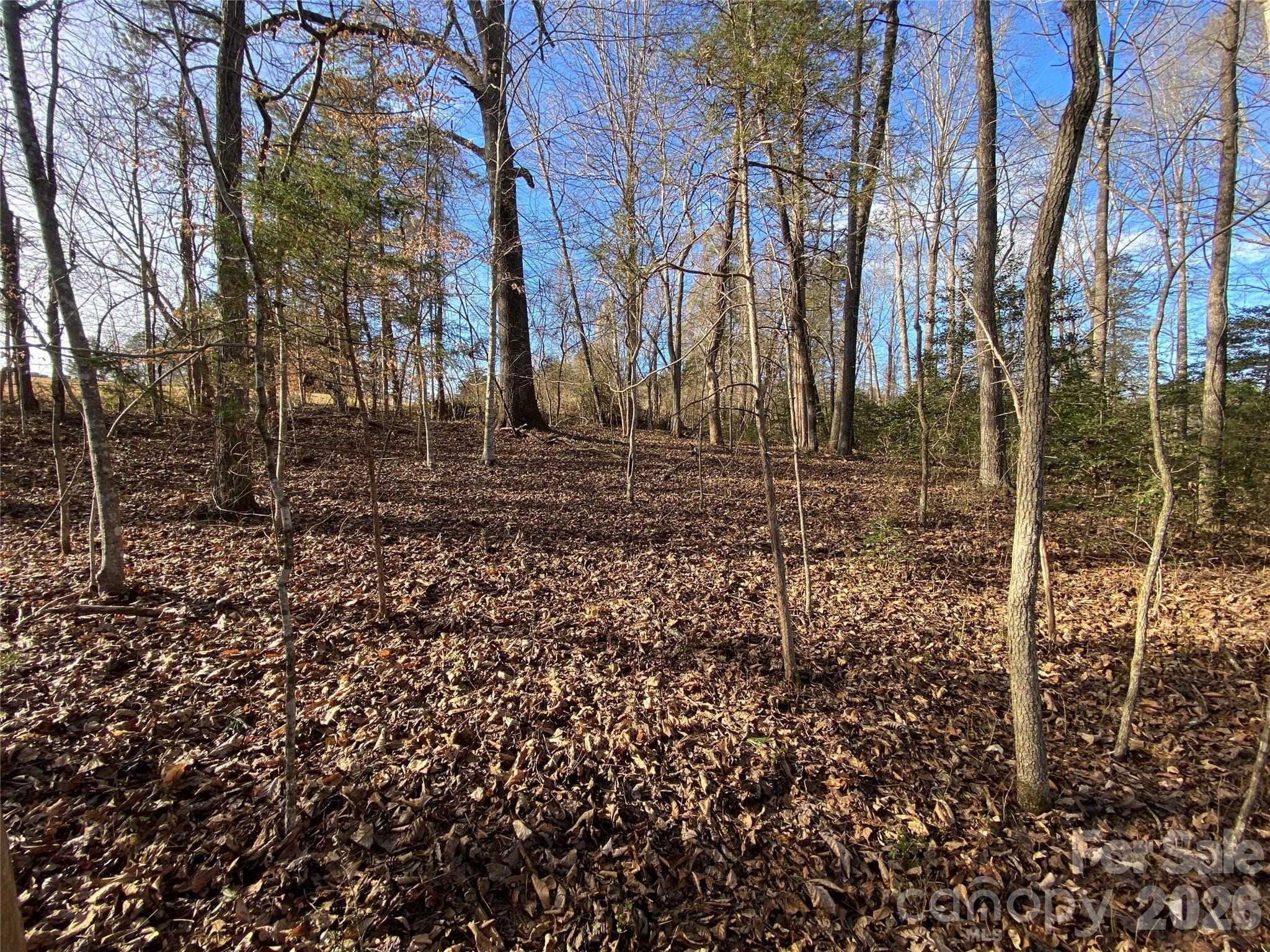 Acreage at Rutherfordton, photo 2 of 12