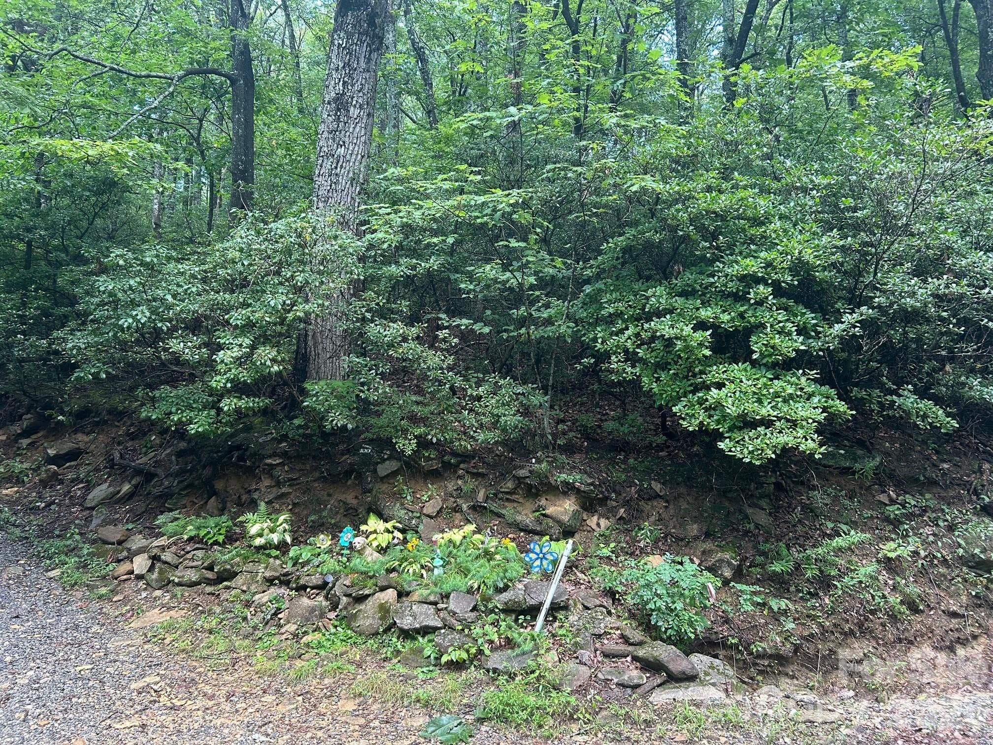 Lot at Hendersonville, photo 3 of 20