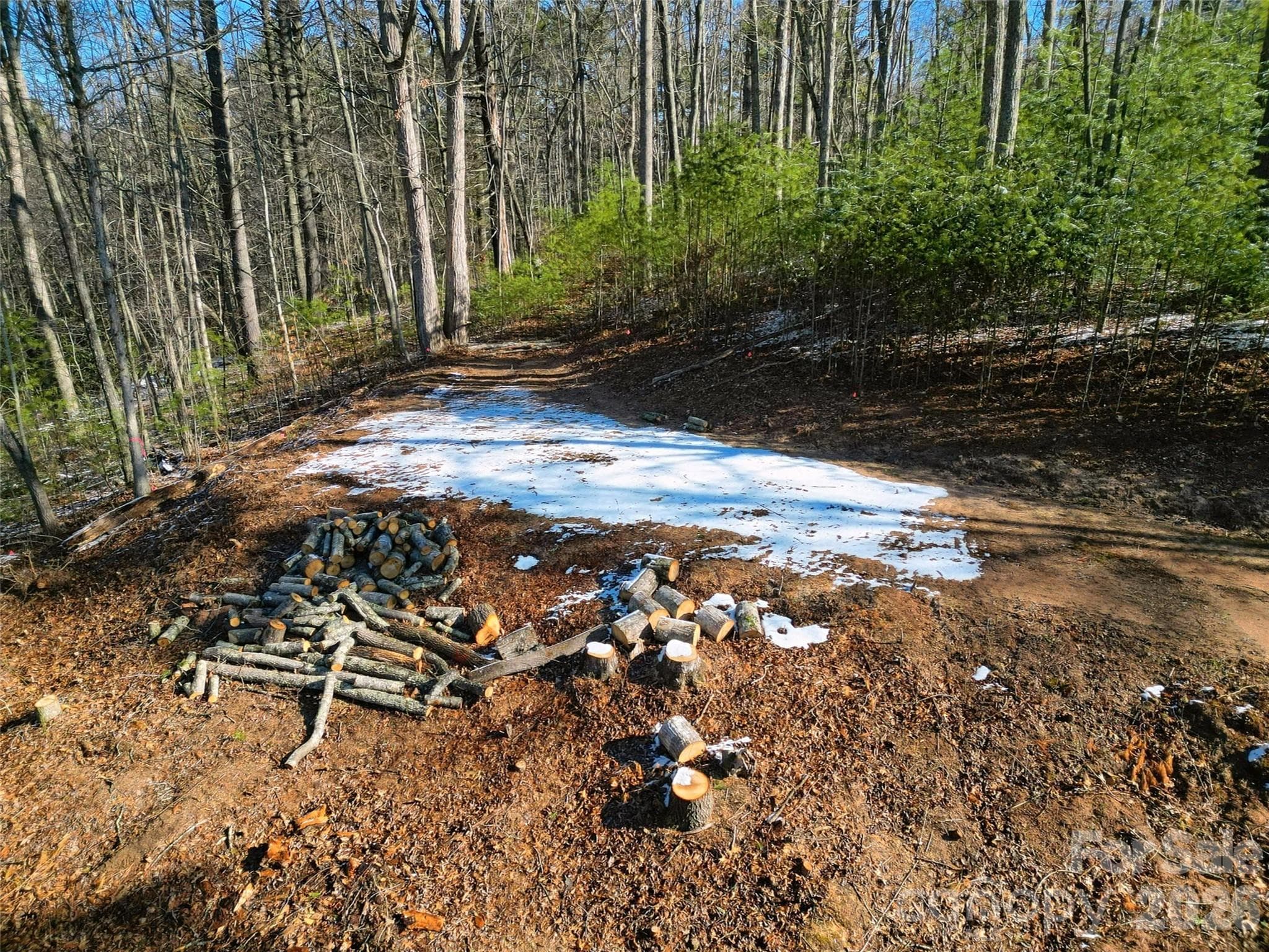 Lot at Clyde, photo 12 of 17