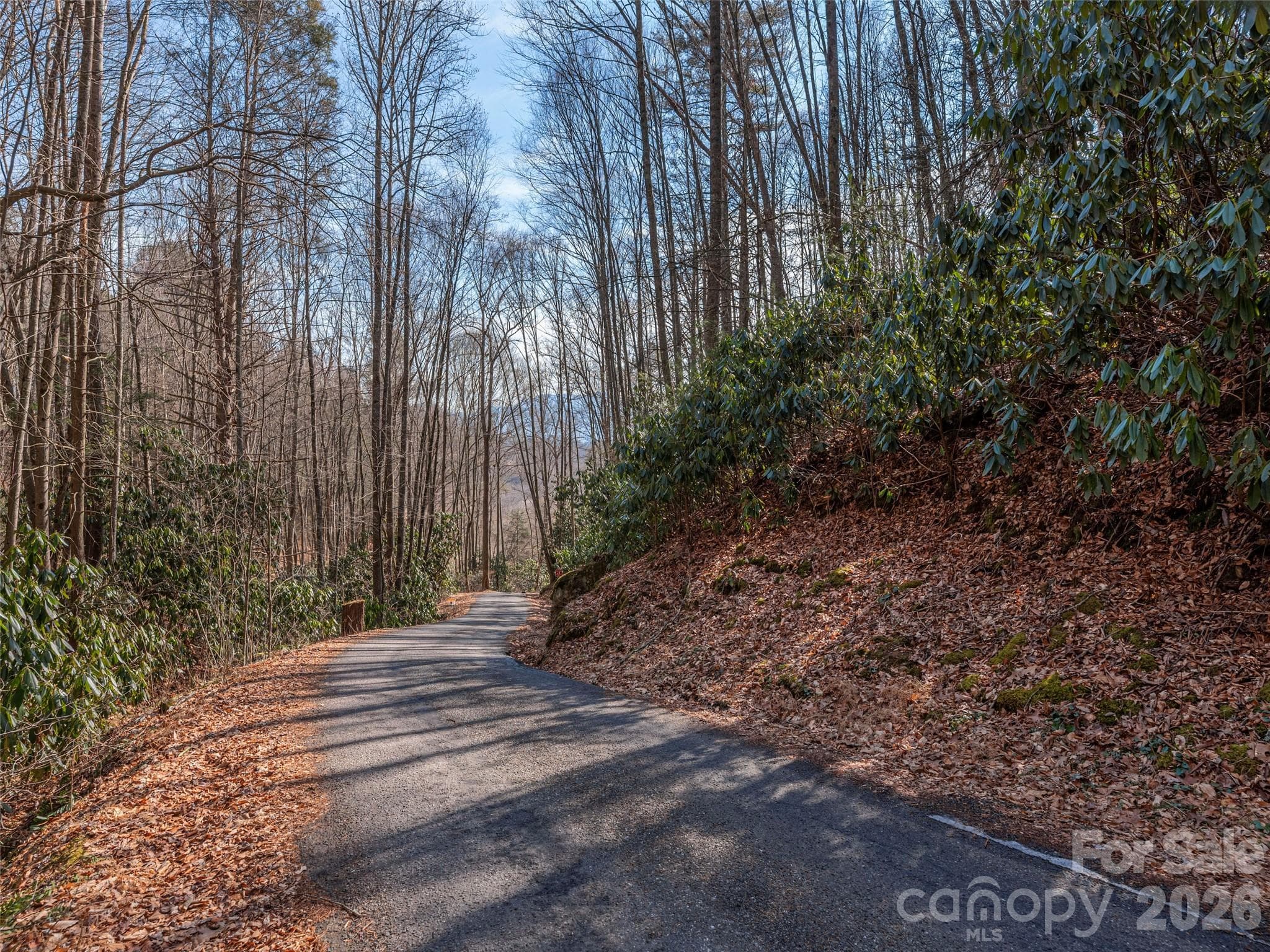Lot at Waynesville, photo 3 of 12