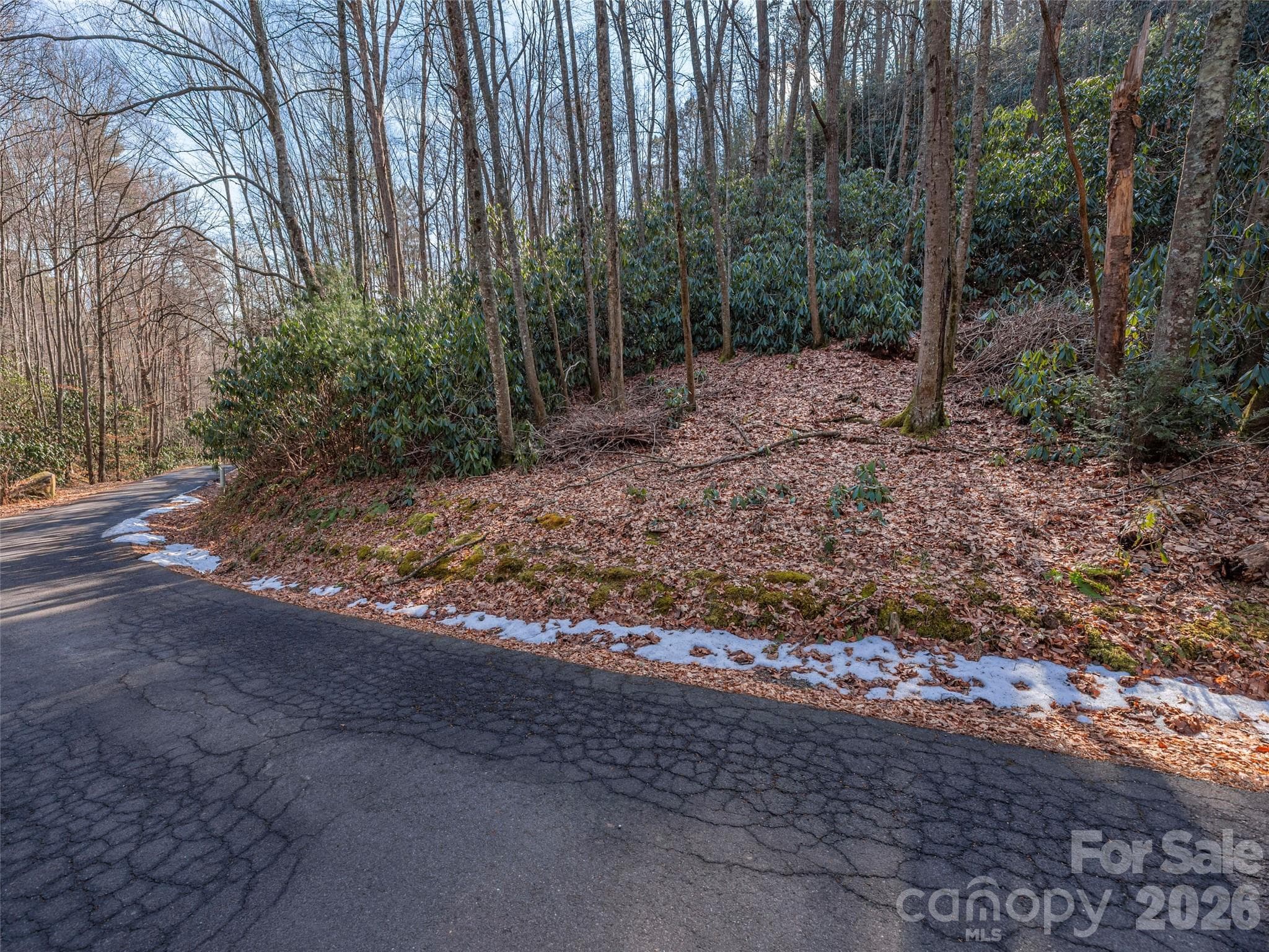 Lot at Waynesville, photo 4 of 12