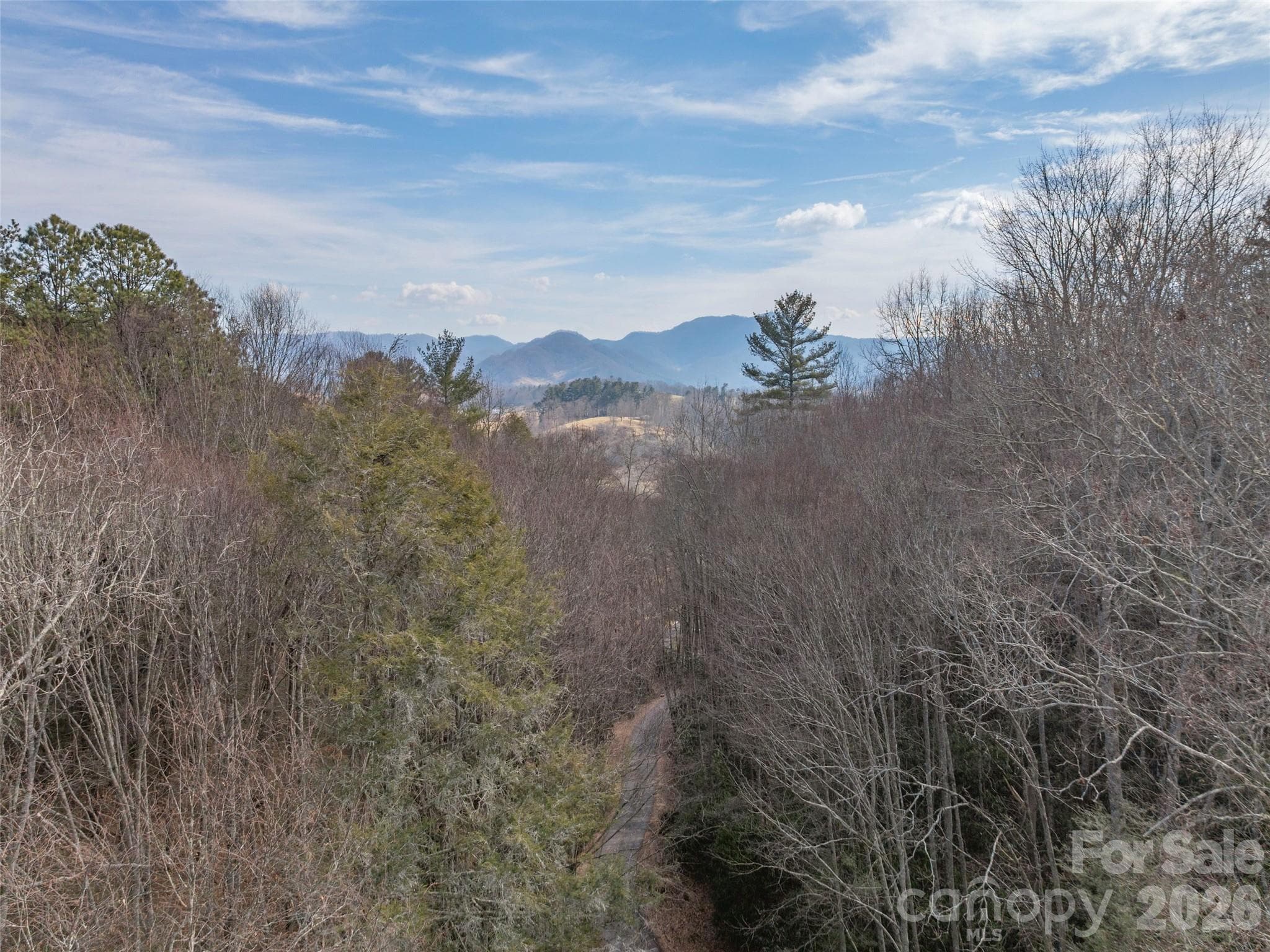 Lot at Waynesville, photo 6 of 12