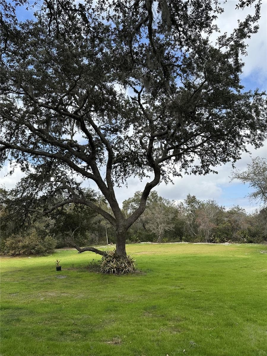 Acreage with another Acre +- not cleared in the back yard where the woods start - 2598 ENTERPRISE OSTEEN RD, OSTEEN