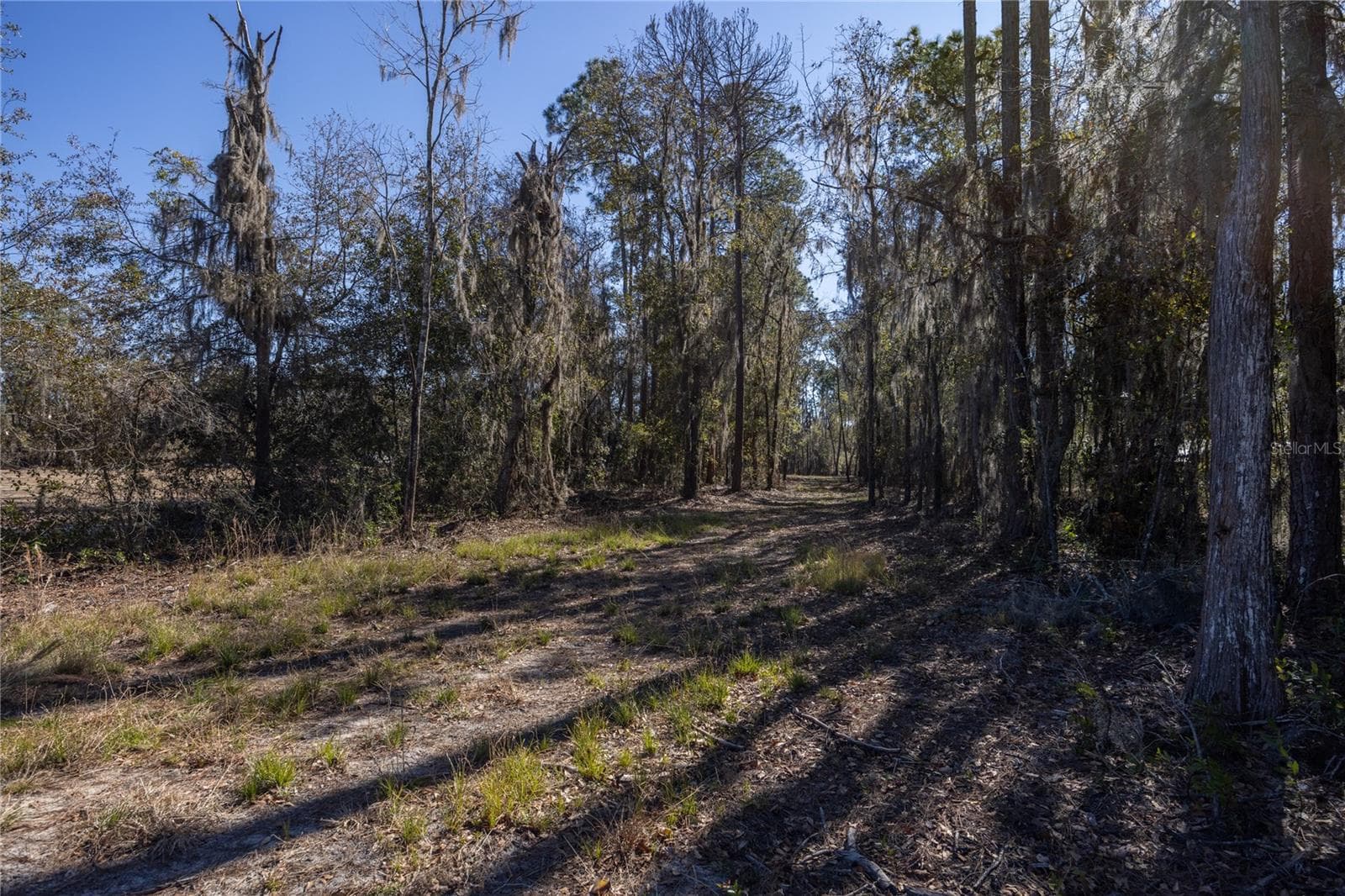 Land at 155TH WAY, STARKE, photo 2 of 29