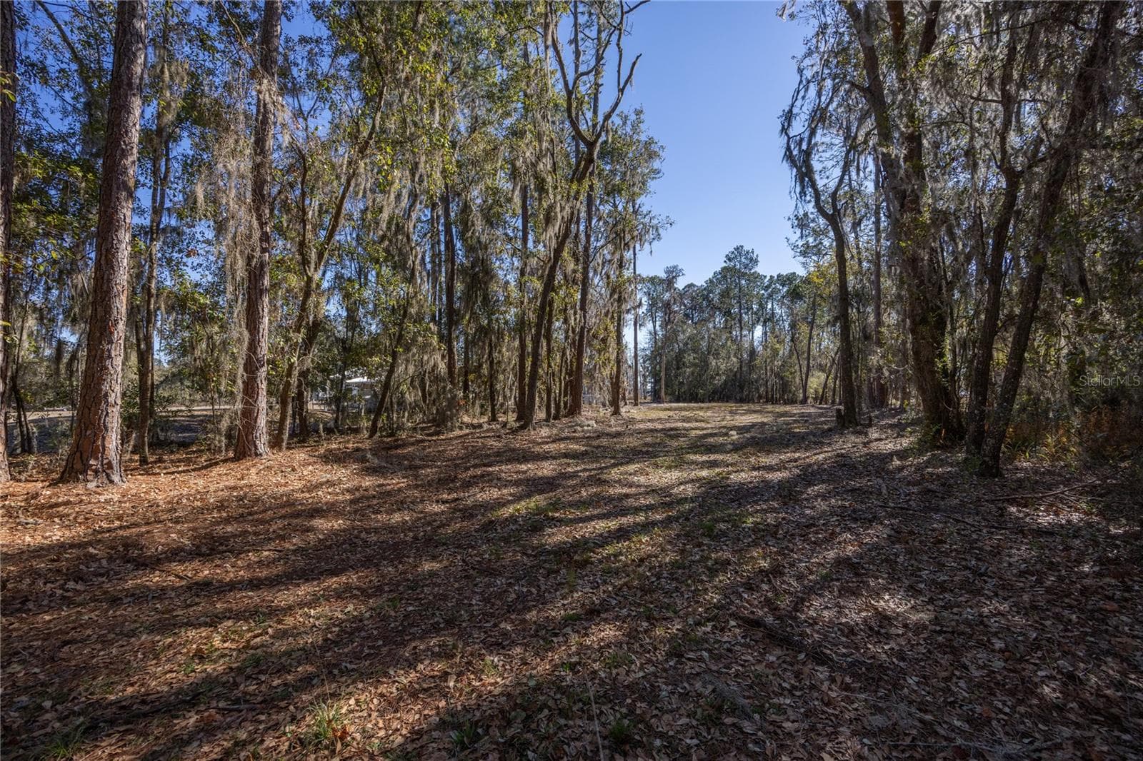 Land at 155TH WAY, STARKE, photo 6 of 29