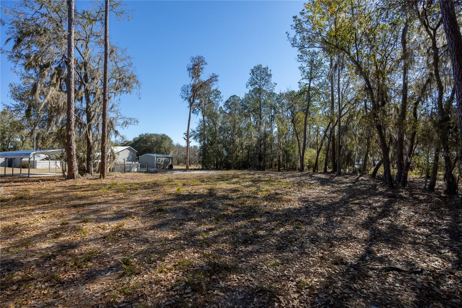 Land at 155TH WAY, STARKE, photo 7 of 29
