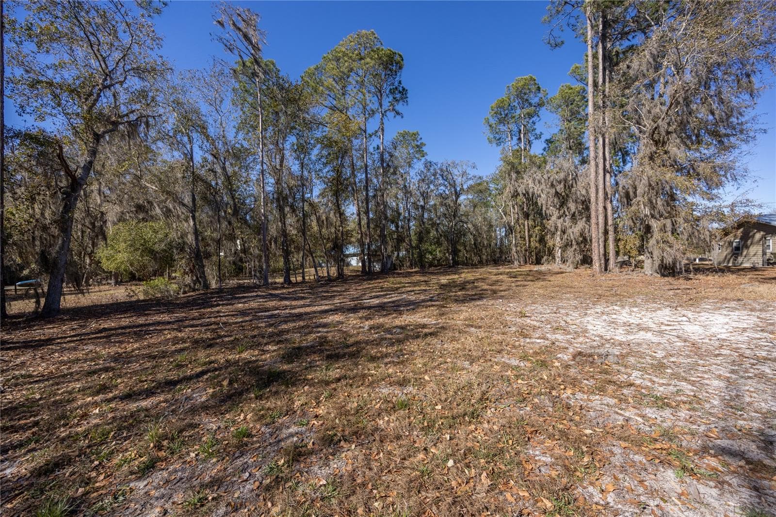 Land at 155TH WAY, STARKE, photo 9 of 29