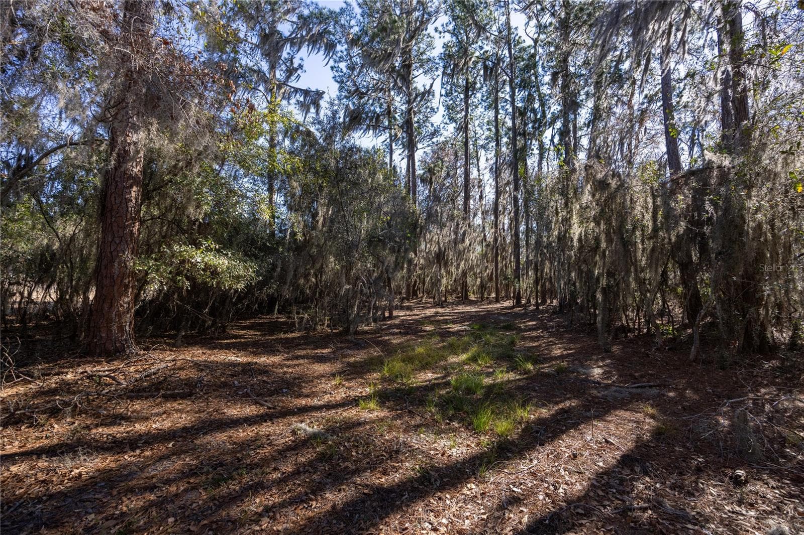 Land at 155TH WAY, STARKE, photo 10 of 29