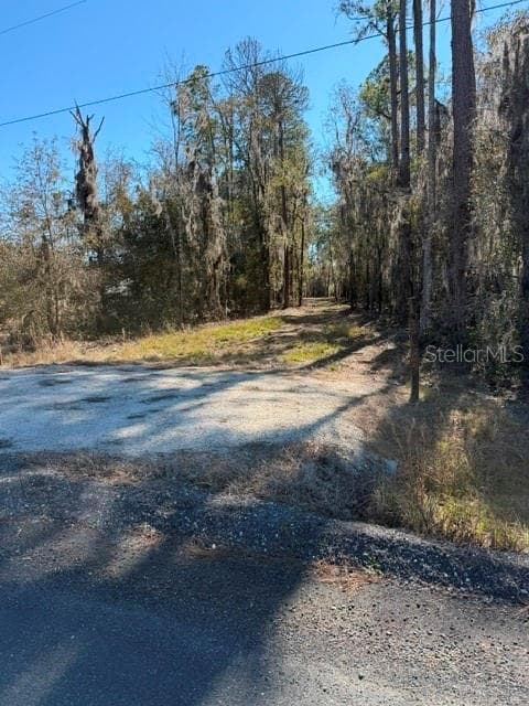 Land at 155TH WAY, STARKE, photo 19 of 29