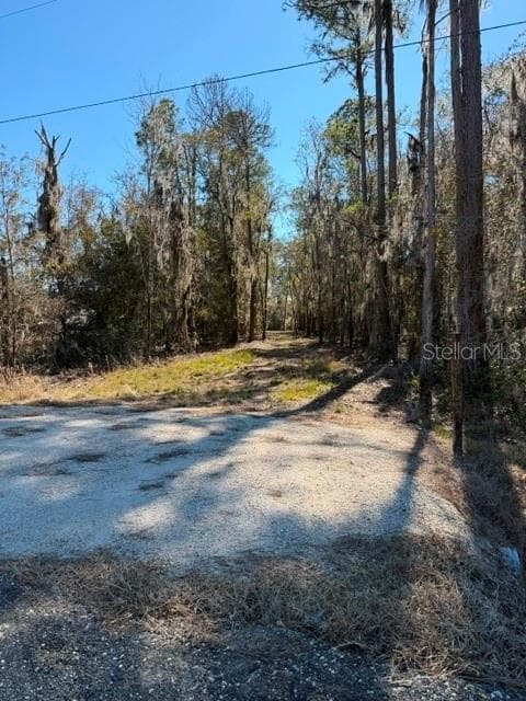 Land at 155TH WAY, STARKE, photo 21 of 29