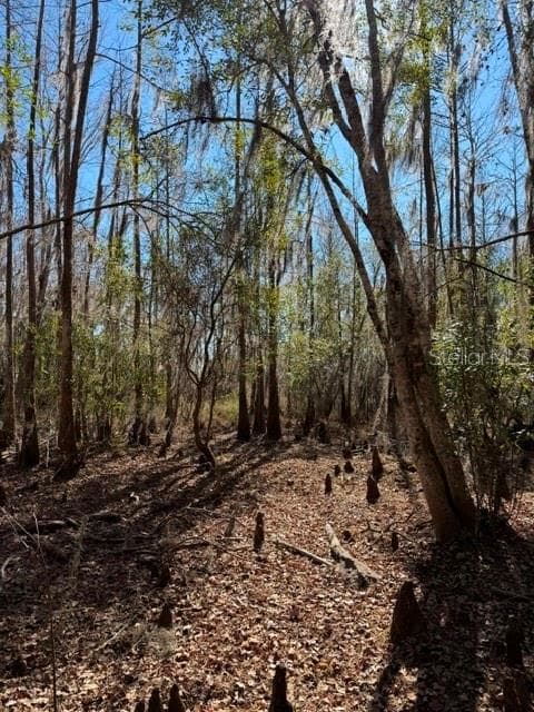 Land at 155TH WAY, STARKE, photo 27 of 29