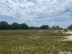 1322 HILLSBOROUGH DR