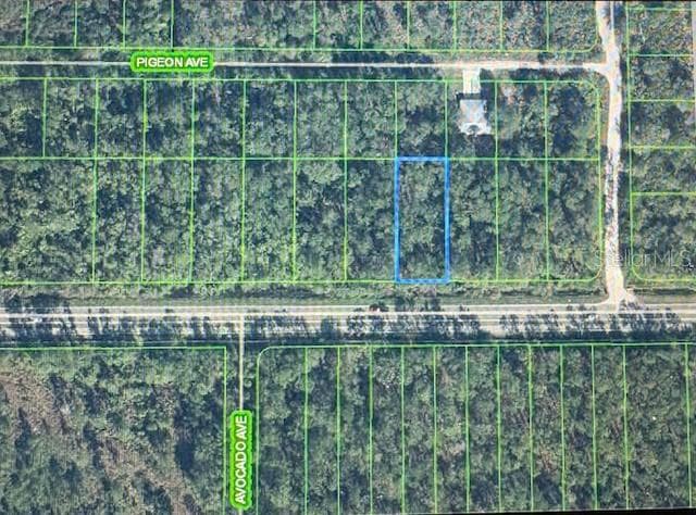 Land at 2600 HAMMOCK RD, SEBRING, photo 3 of 3