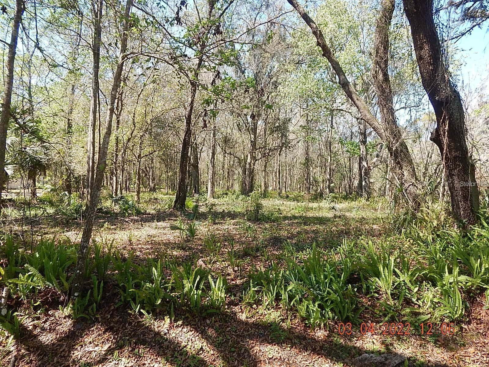 Land at 1026 BUIST ST, ORLANDO, photo 4 of 13