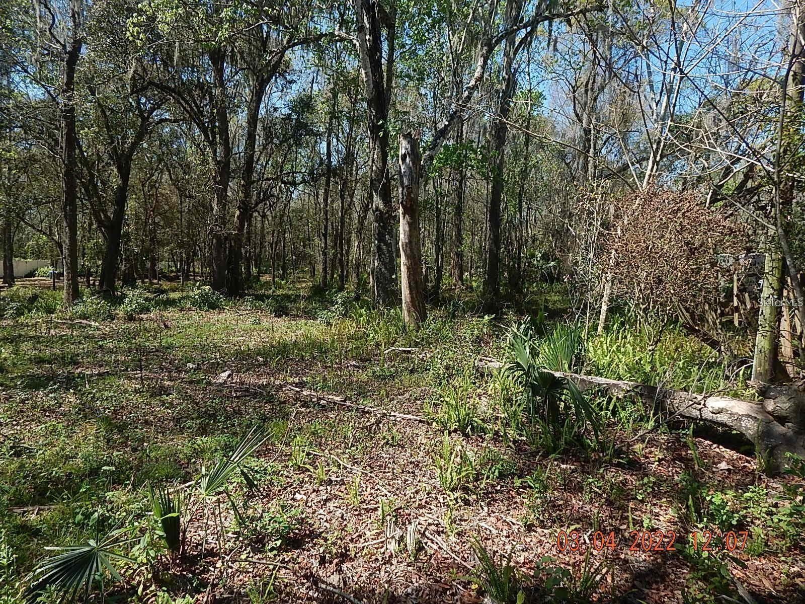 Land at 1026 BUIST ST, ORLANDO, photo 7 of 13
