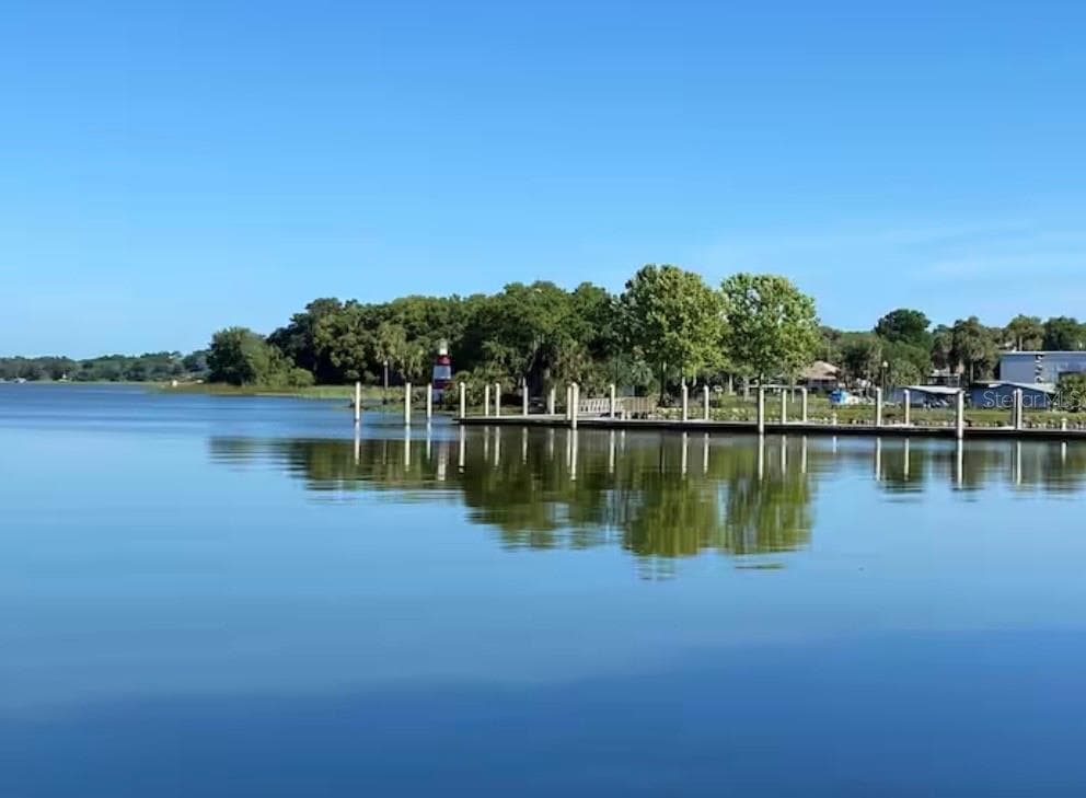 Lake Dora - 1245 N ALEXANDER ST, MOUNT DORA