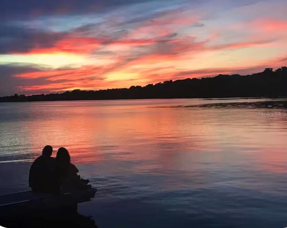 Lake Dora Sunset - 1245 N ALEXANDER ST, MOUNT DORA