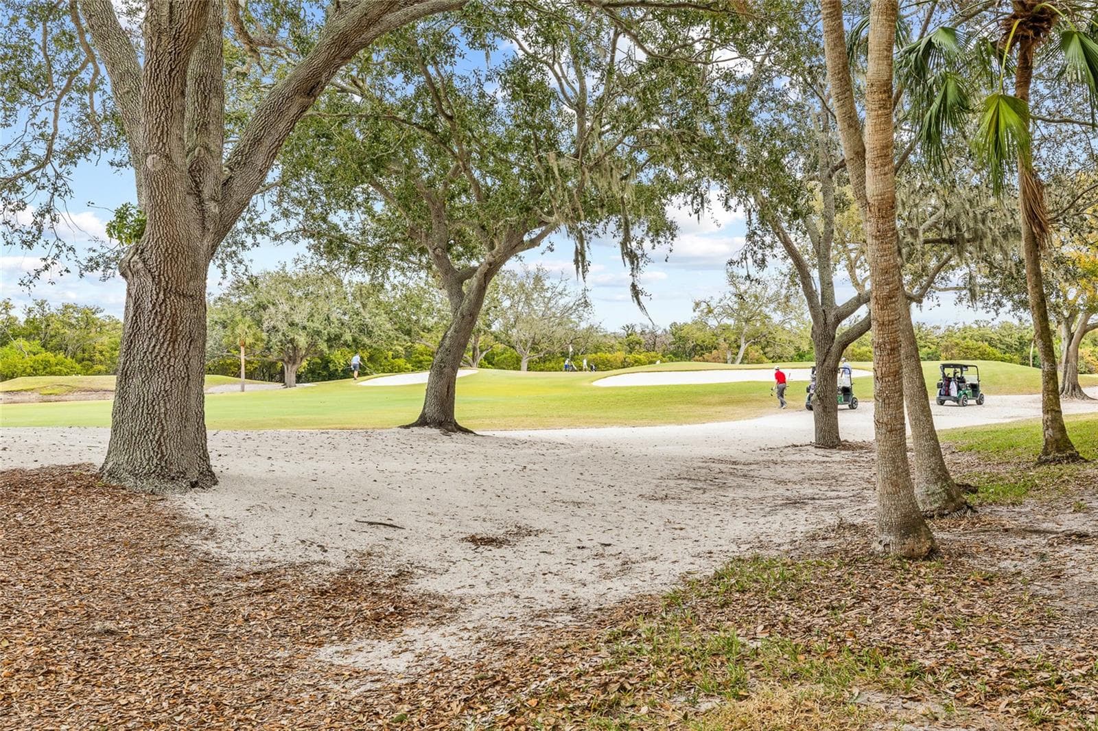 Condominium at 2333 FEATHER SOUND DR #A101, CLEARWATER, photo 41 of 49