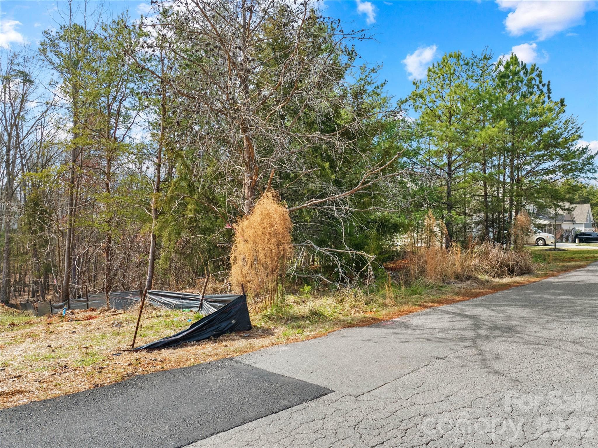 Lot at Lancaster, photo 13 of 19