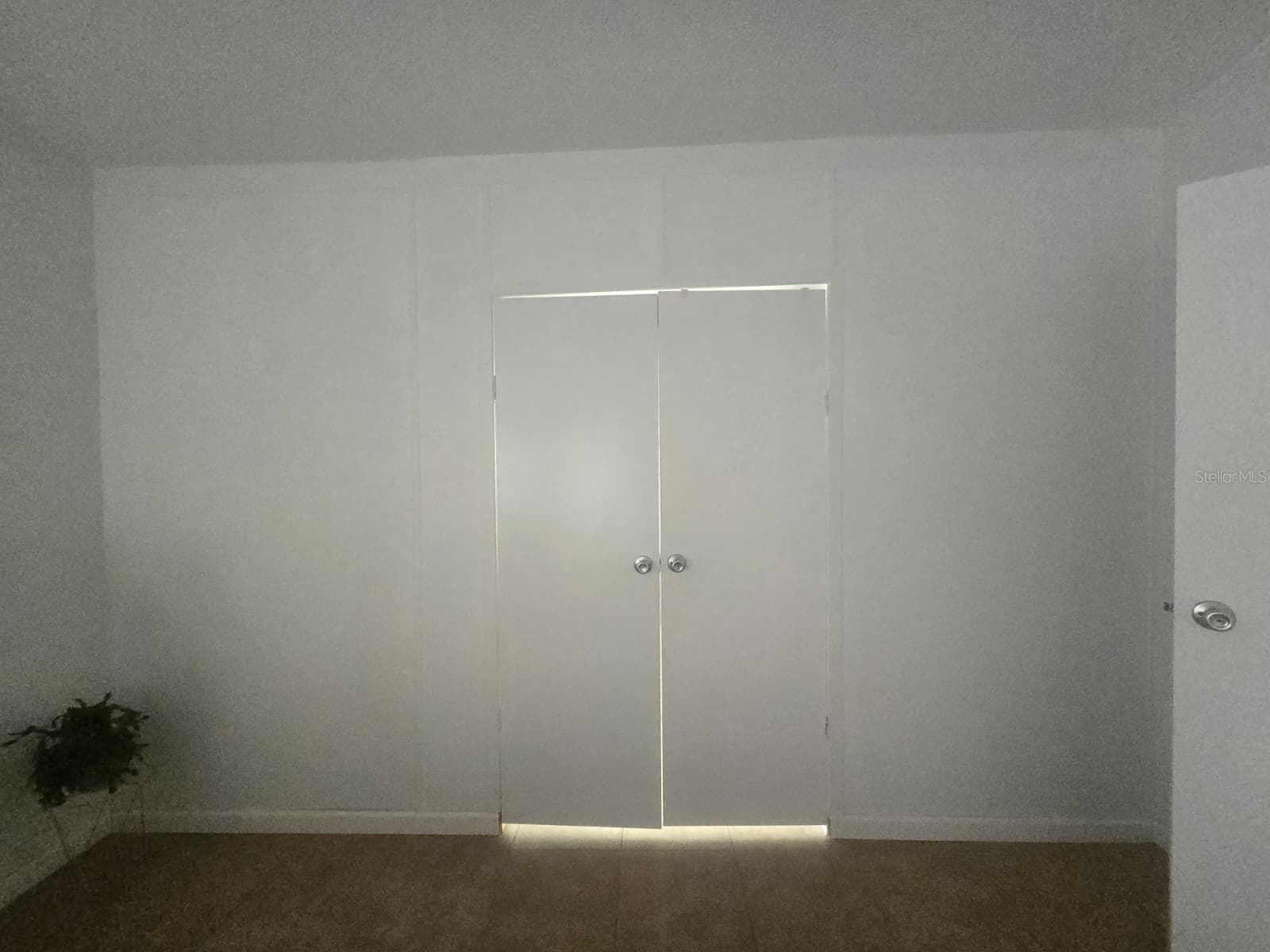 Master Bedroom double doors towards master bathroom - 6106 MANGROVE DR, WESLEY CHAPEL