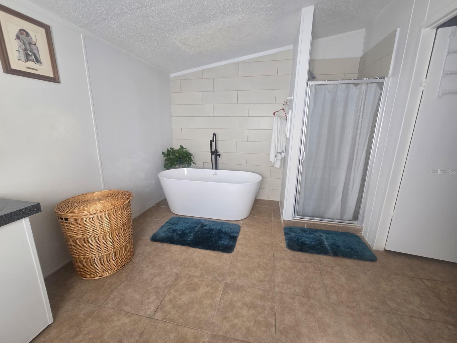 master bathroom - 6106 MANGROVE DR, WESLEY CHAPEL