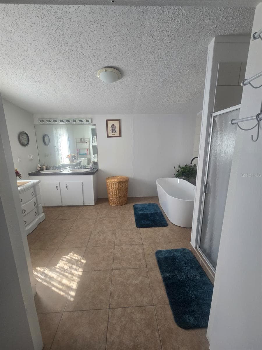 master bathroom - 6106 MANGROVE DR, WESLEY CHAPEL