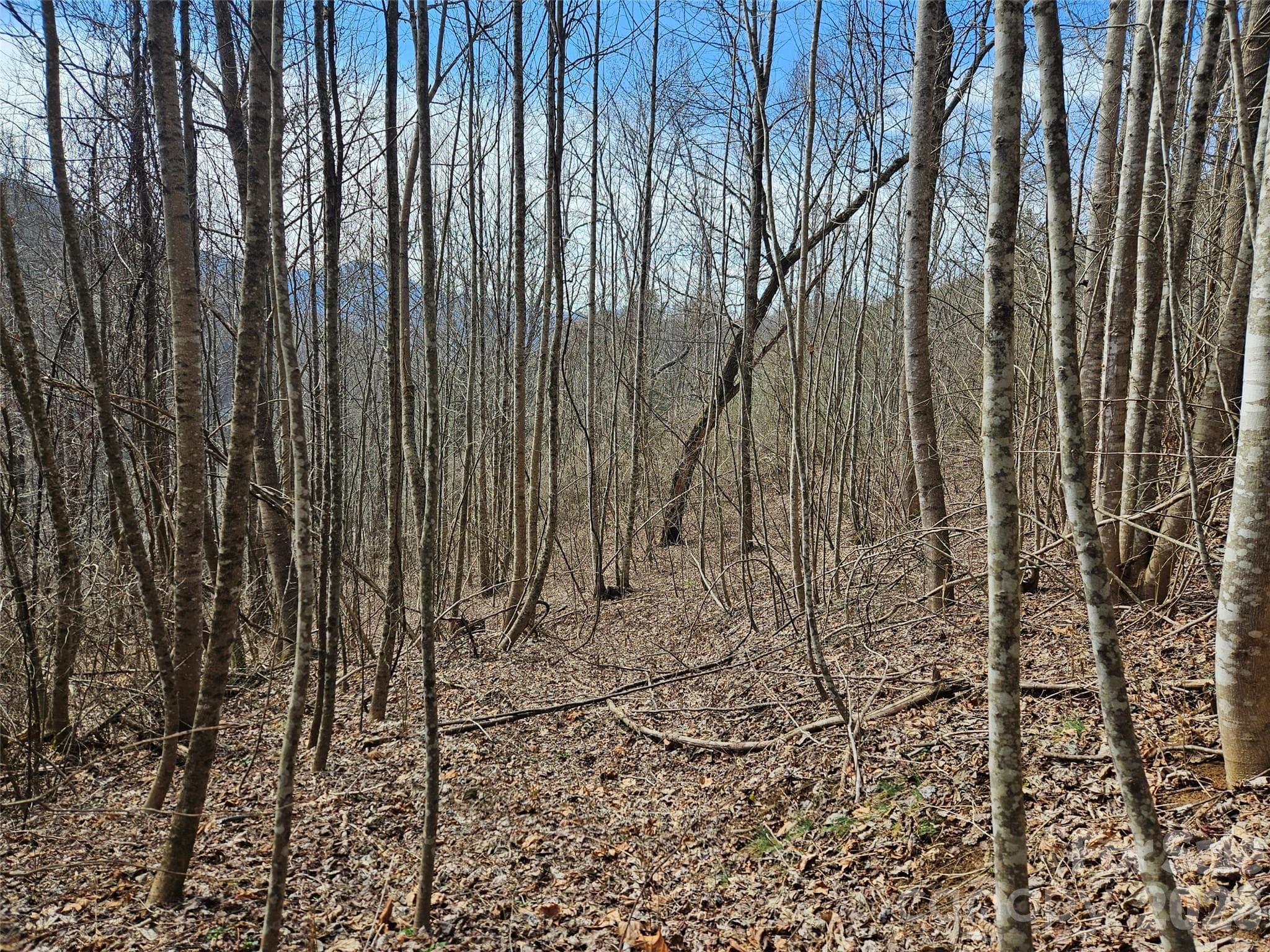 Acreage at Sylva, photo 2 of 8