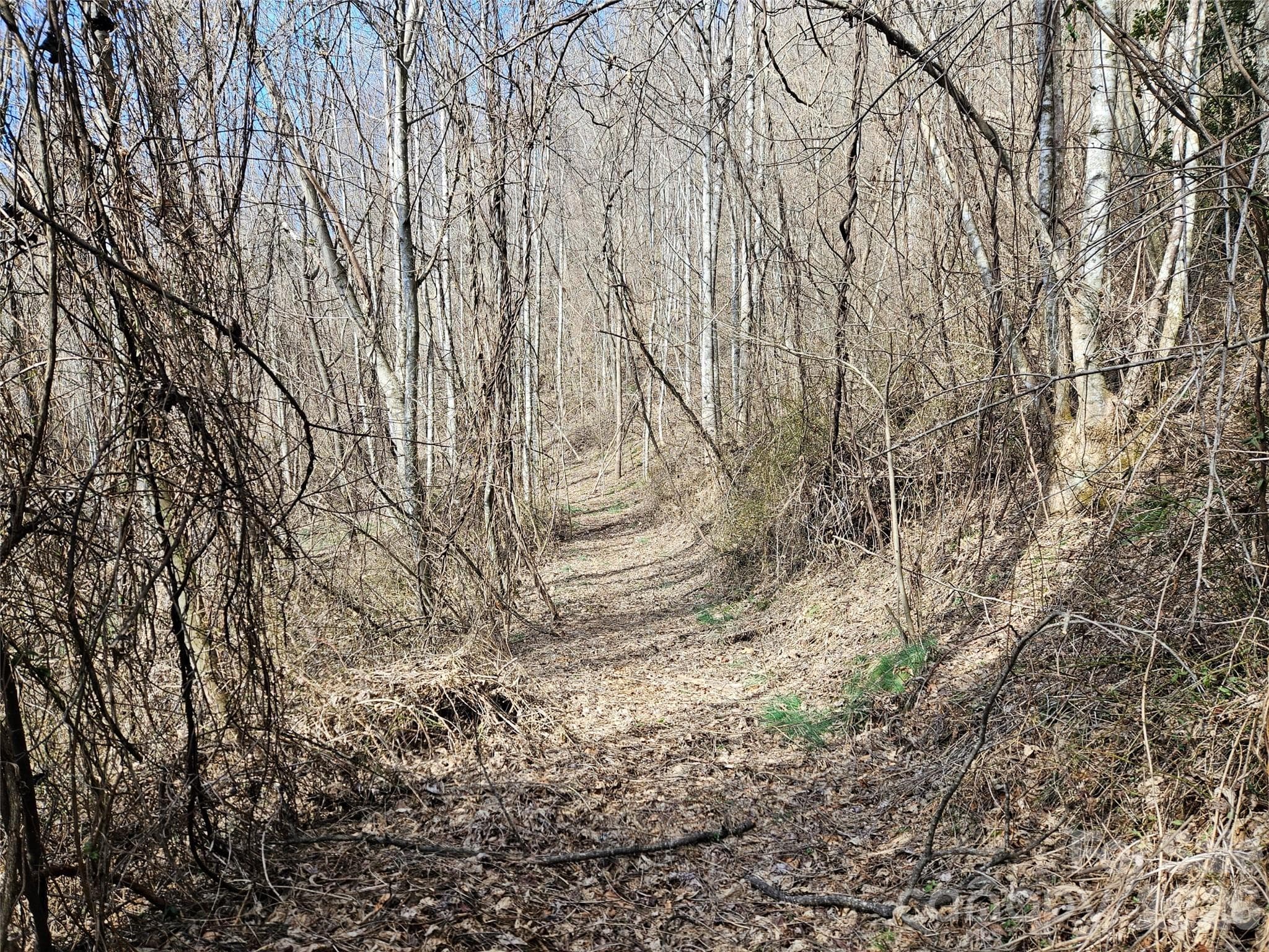Acreage at Sylva, photo 3 of 8