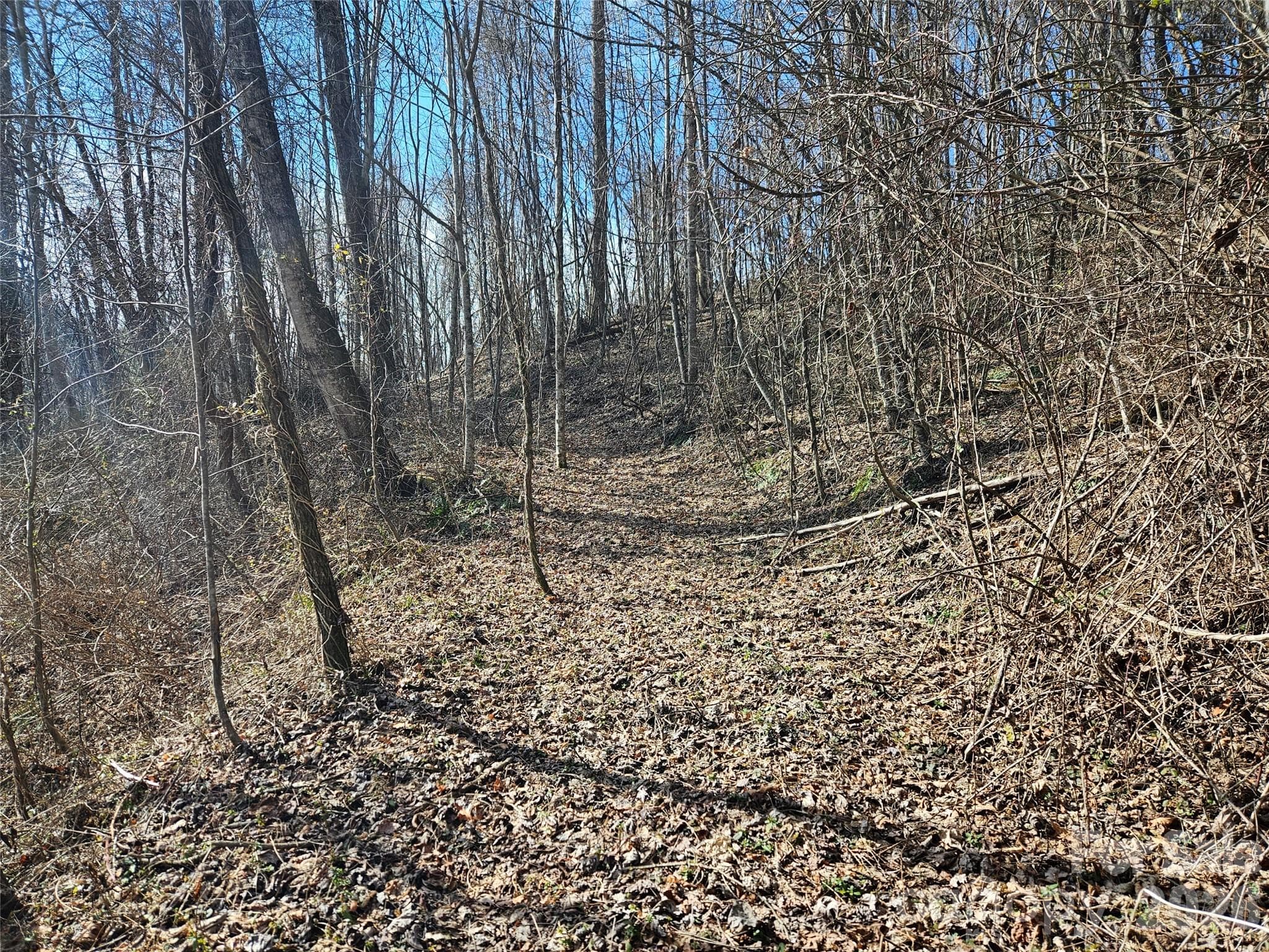 Acreage at Sylva, photo 4 of 8