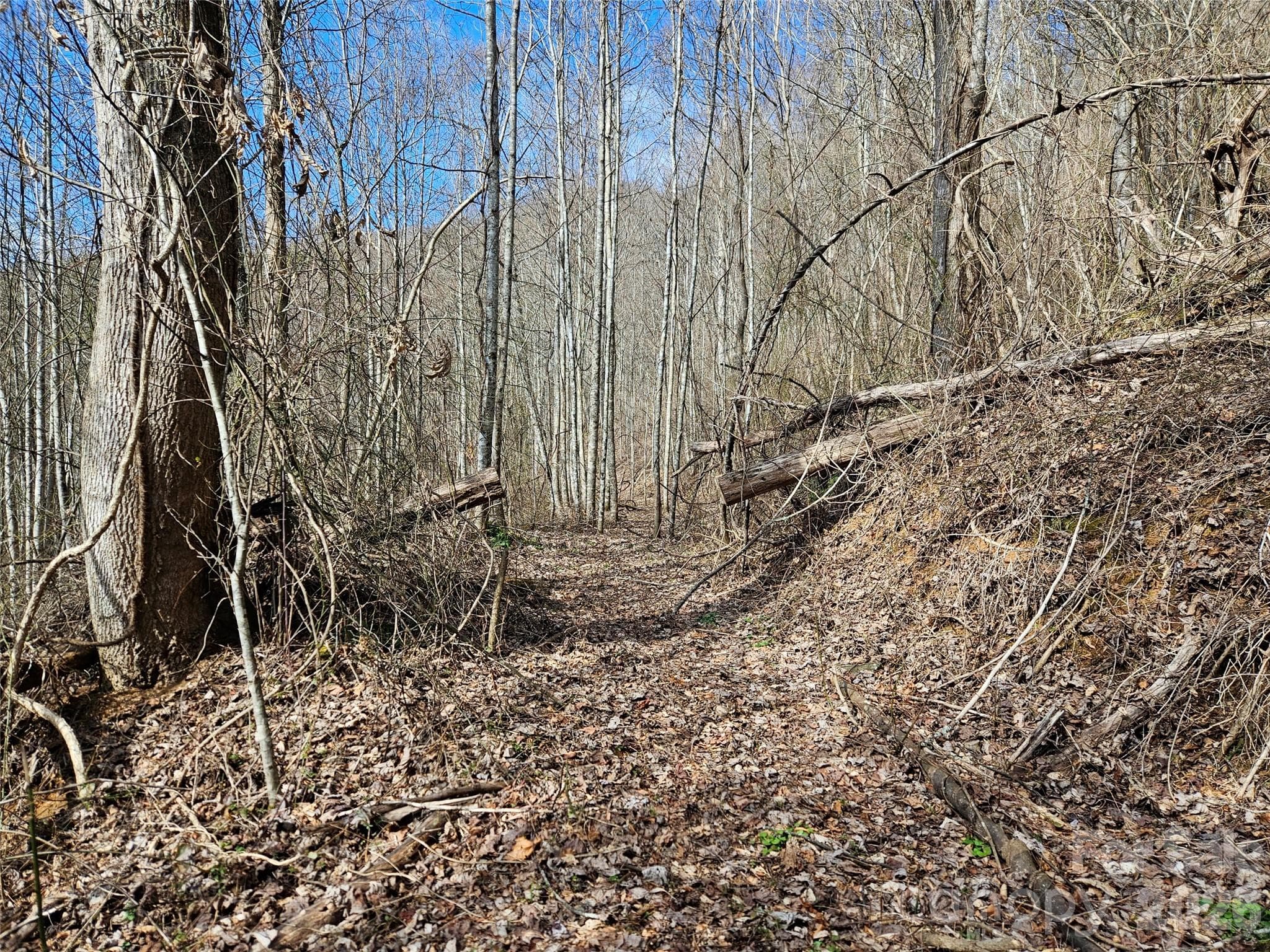 Acreage at Sylva, photo 5 of 8
