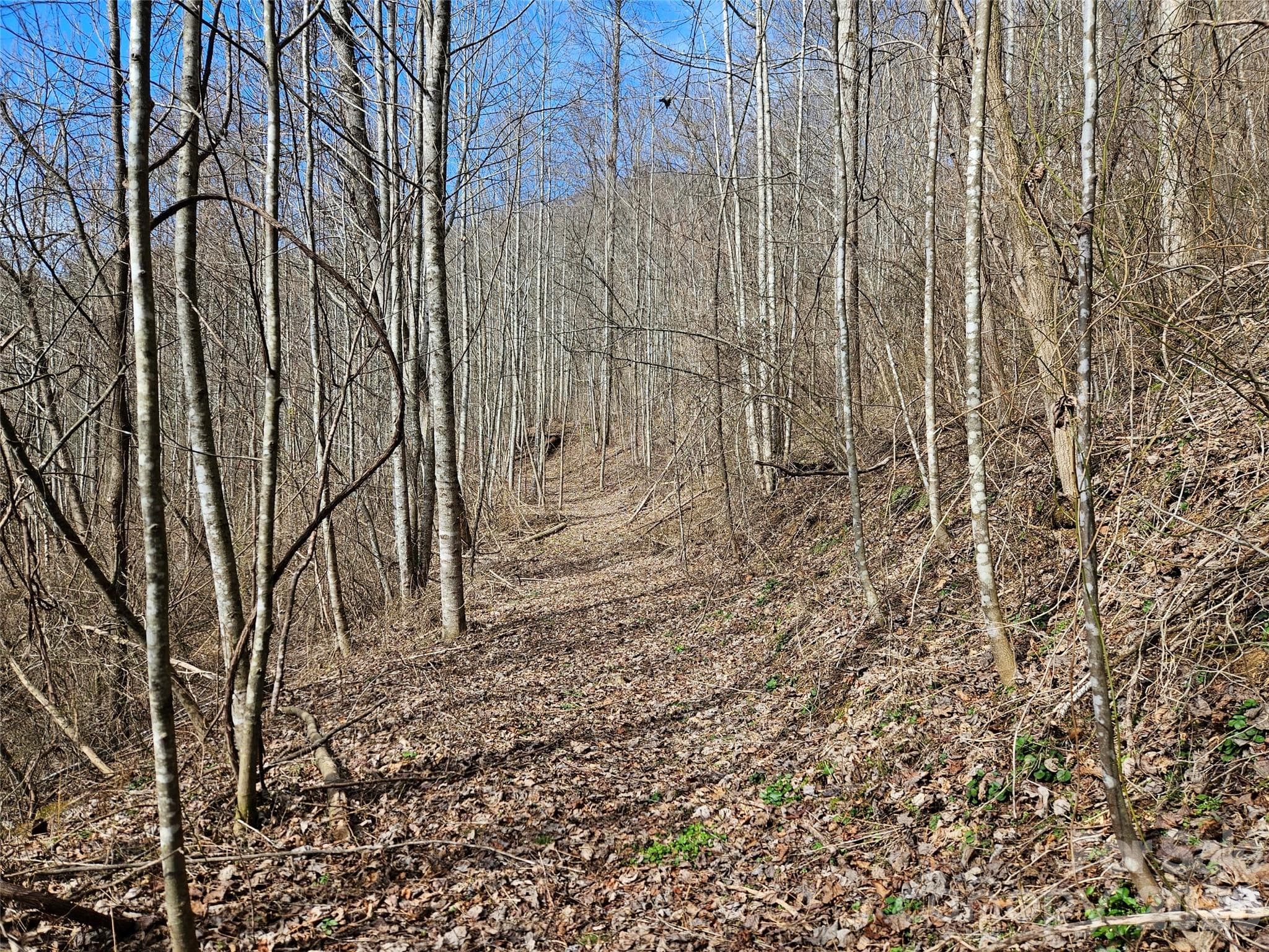 Acreage at Sylva, photo 6 of 8