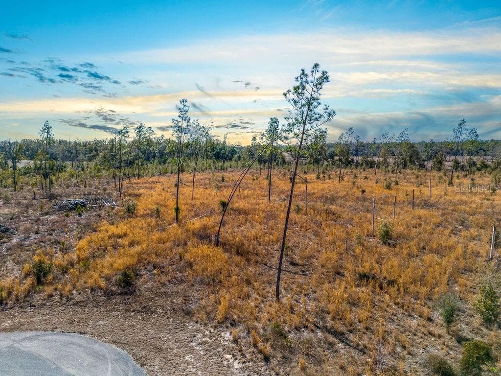 Land at TBD 211TH CT, LIVE OAK, photo 3 of 14