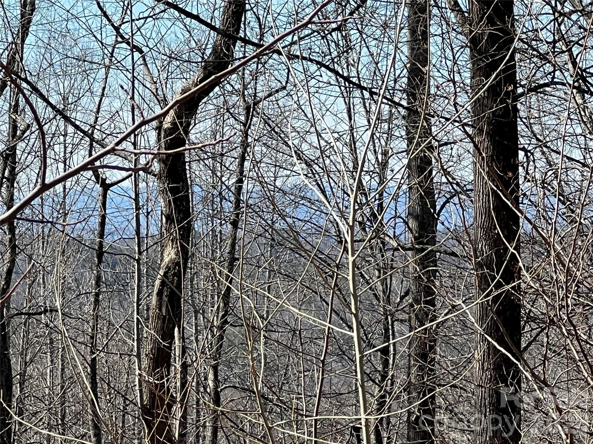Potentail View wth tree cutting - Lenoir
