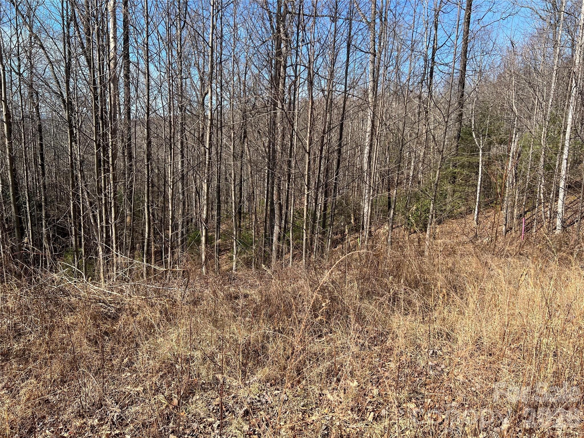 Lot at Lenoir, photo 4 of 27