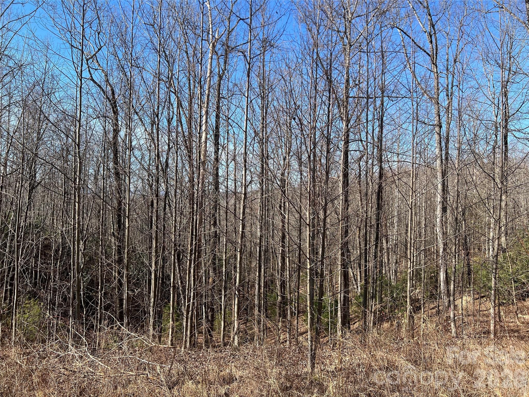 Lot at Lenoir, photo 5 of 27