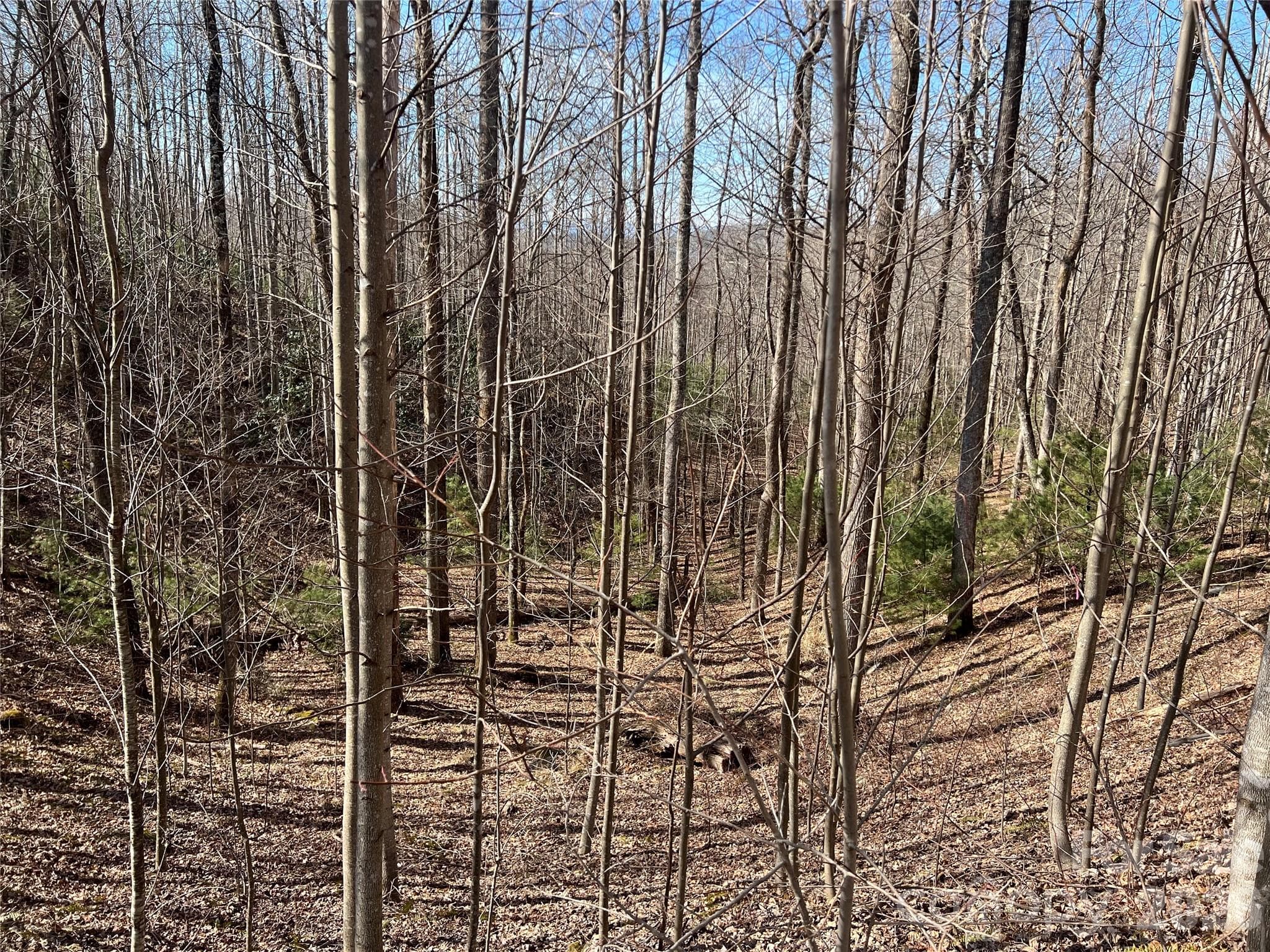 Lot at Lenoir, photo 6 of 27