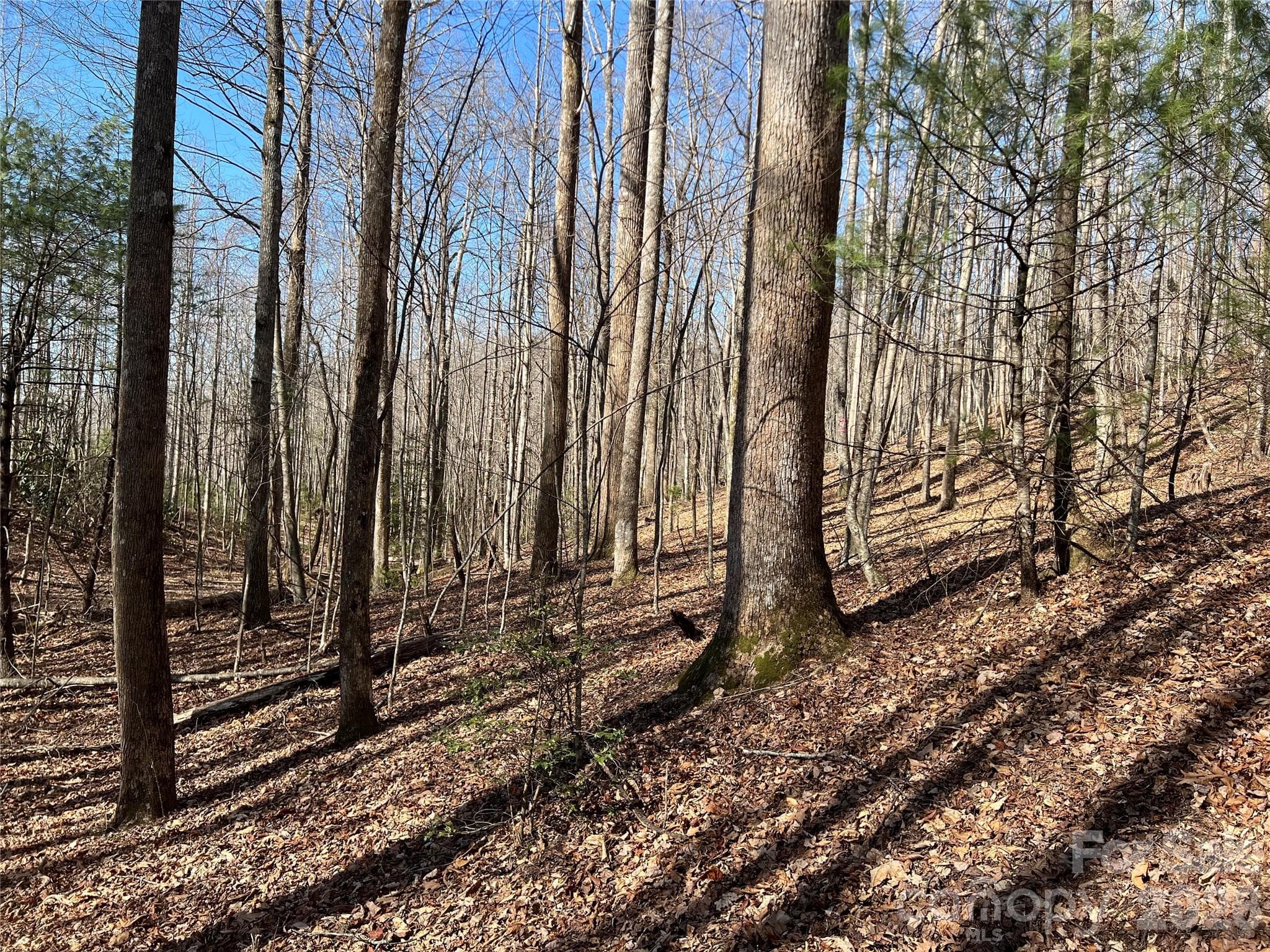 Lot at Lenoir, photo 8 of 27