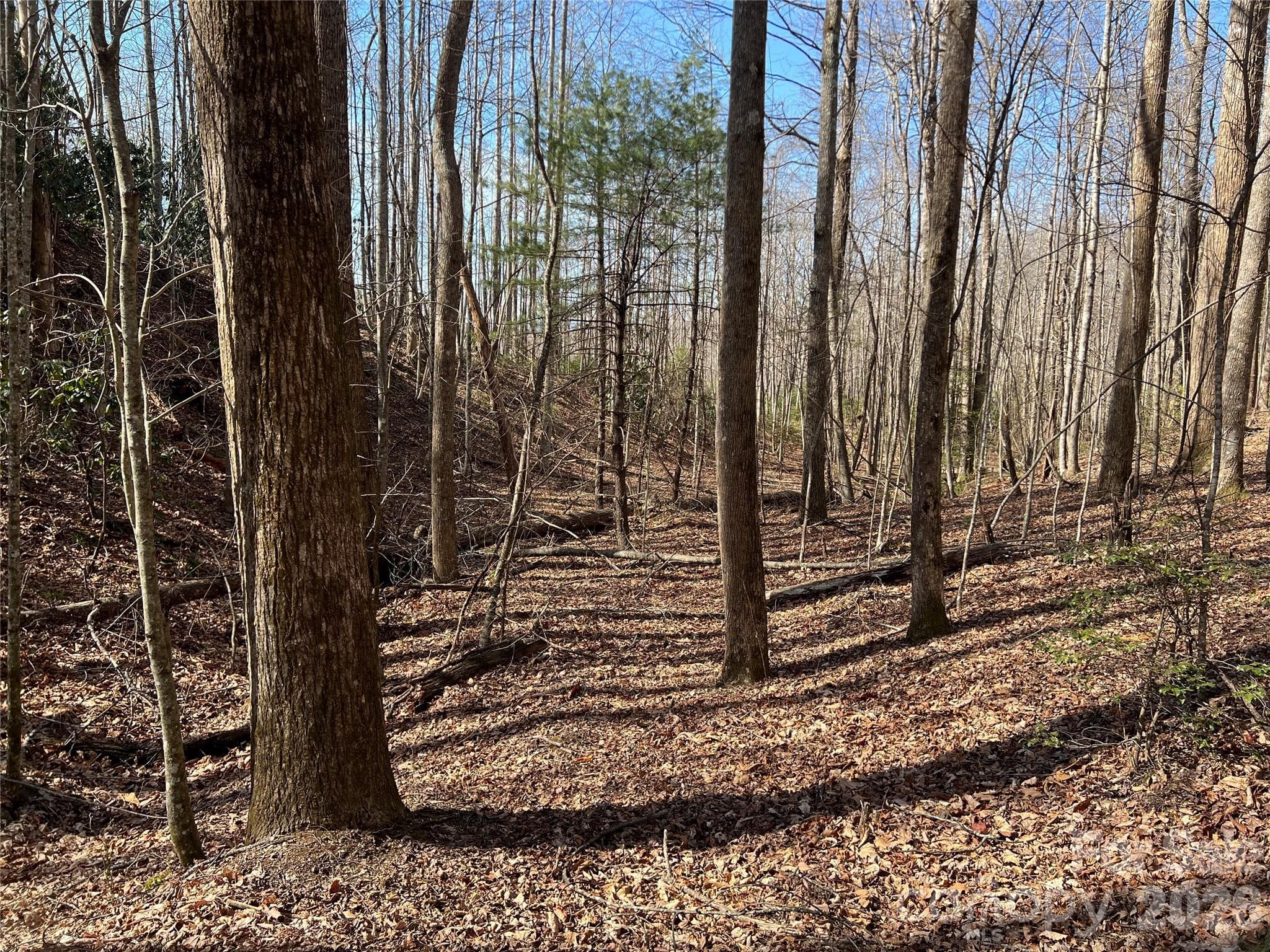 Lot at Lenoir, photo 9 of 27