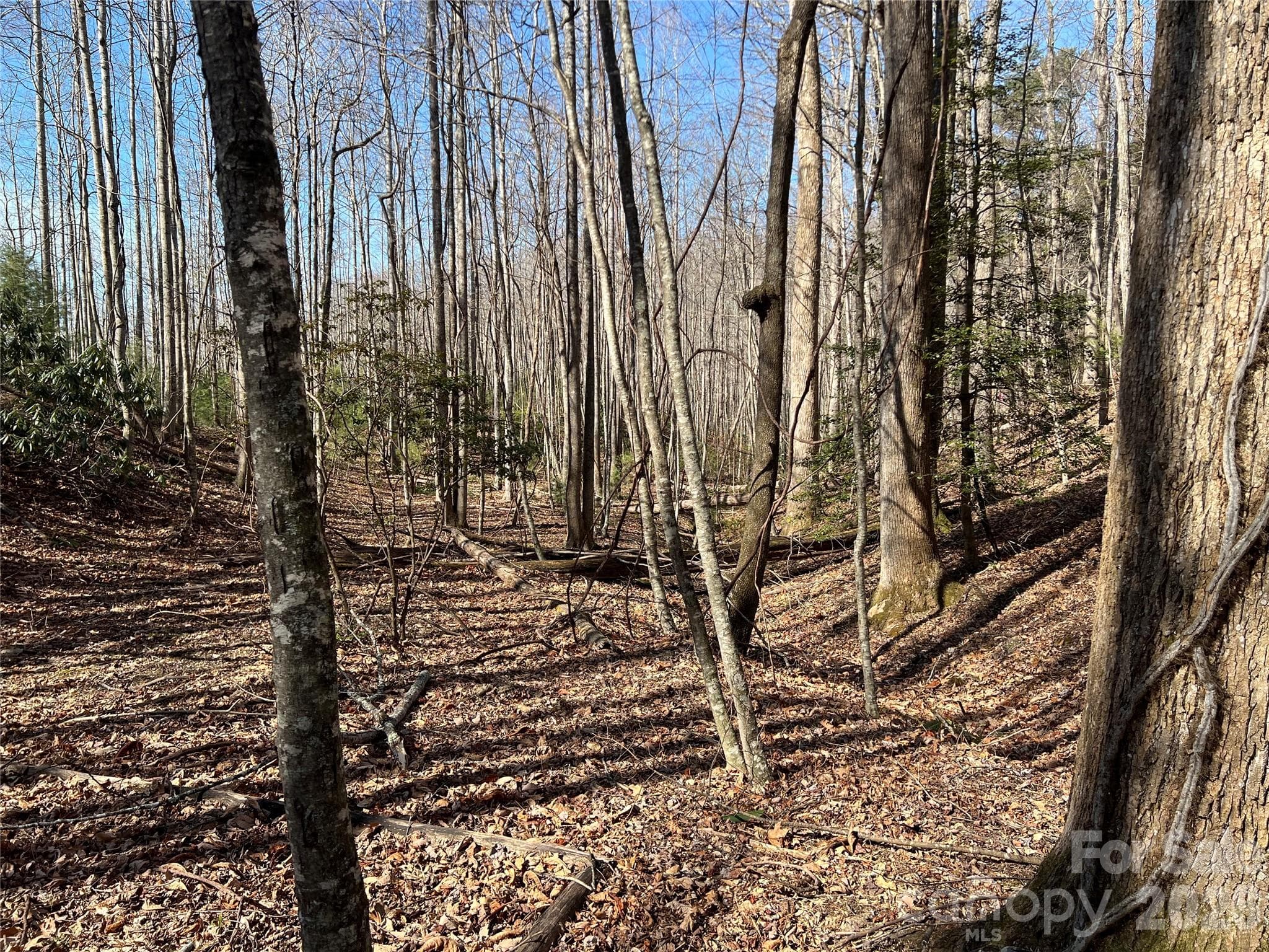 Lot at Lenoir, photo 11 of 27