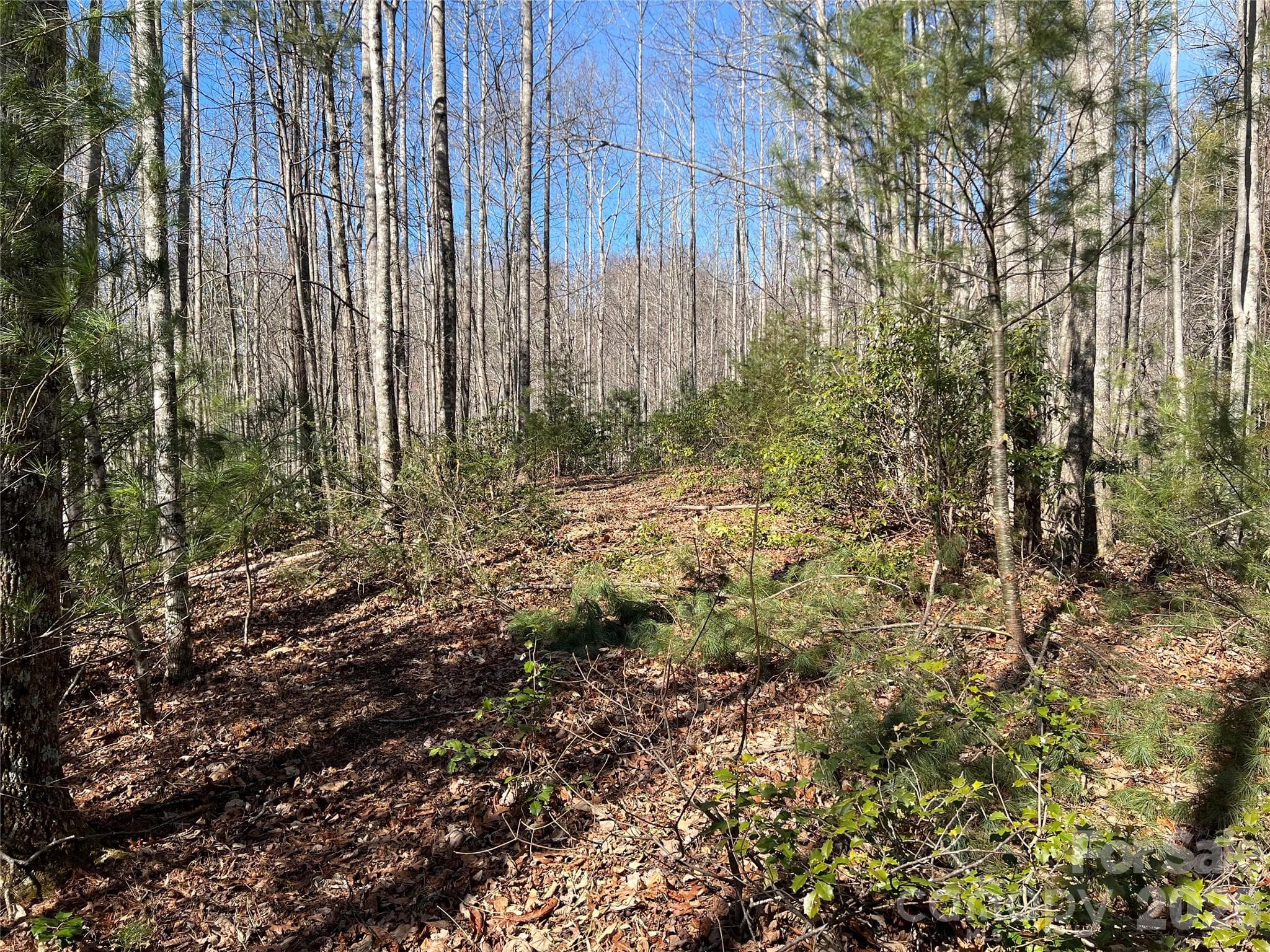 Lot at Lenoir, photo 13 of 27