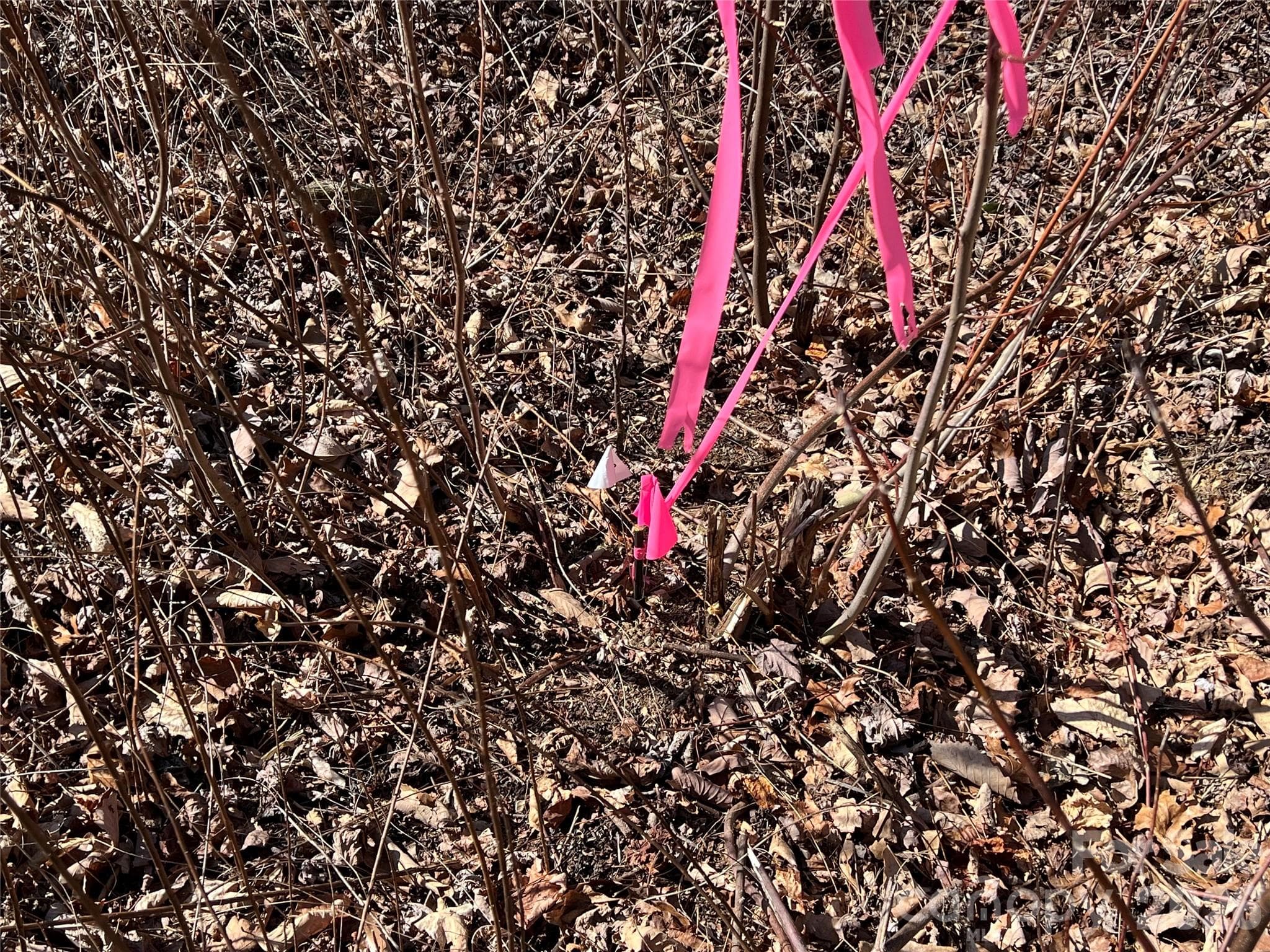 Corner Pin - Lenoir