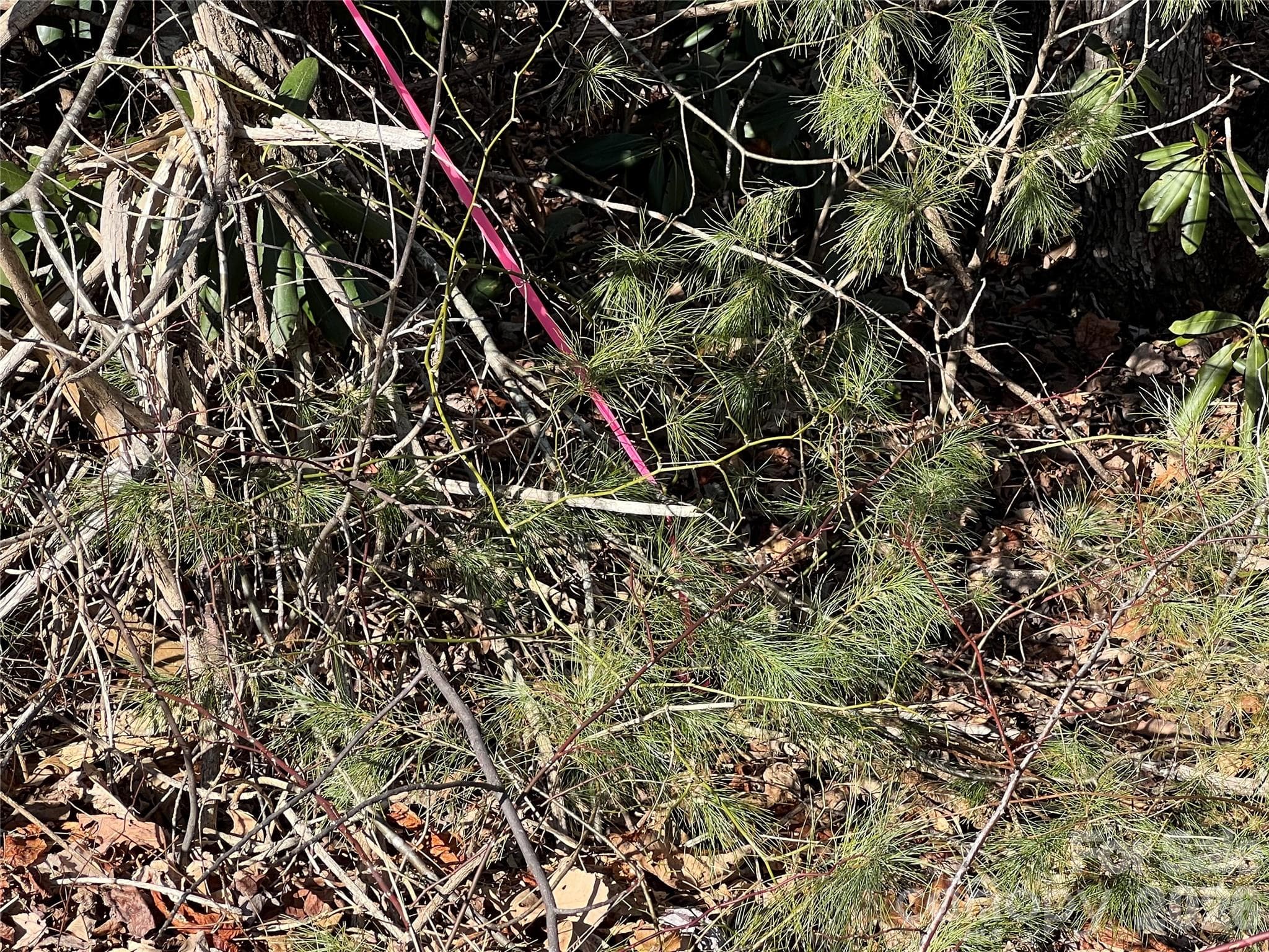 Corner Pin - Lenoir