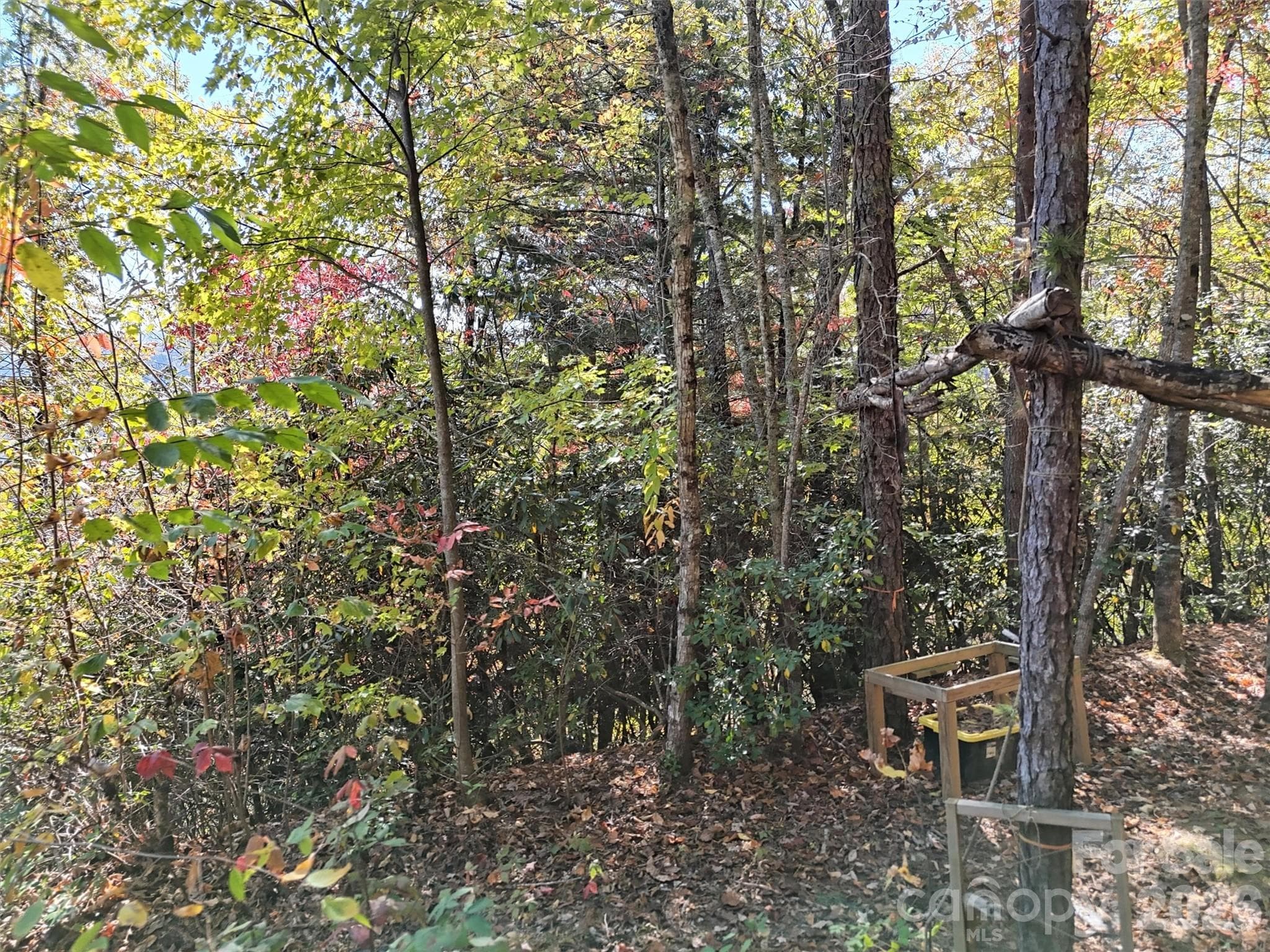 Lot at 0 Mack Luke Road, Whittier, photo 10 of 23